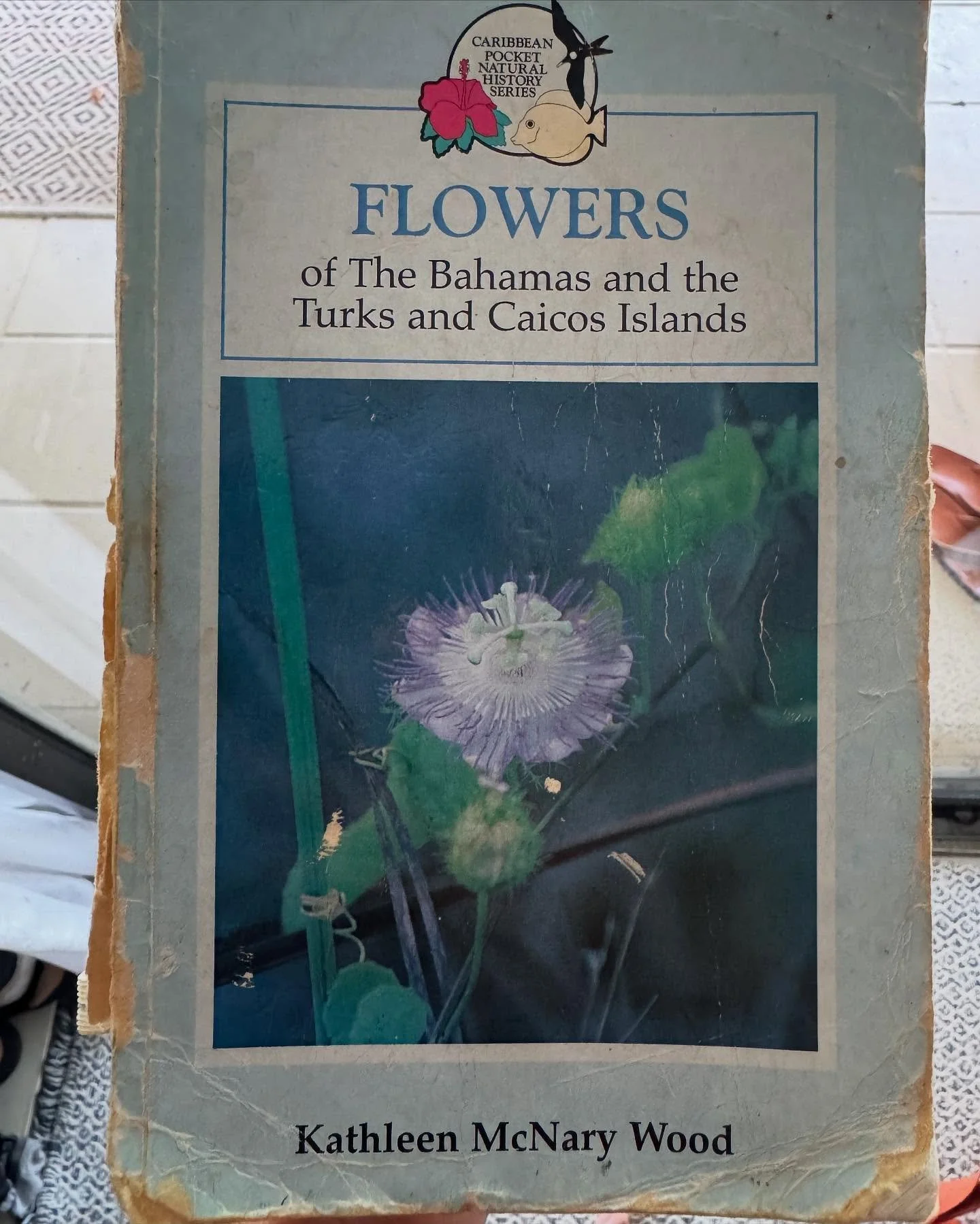 Now sadly out of print, this book is a great gateway into a deeper understanding of our native plants, written by the lovely @kathleenmcnarywood.  She&rsquo;s also one of the coolest people to take a nature hike with 😂. 

One of the ways we&rsquo;ve