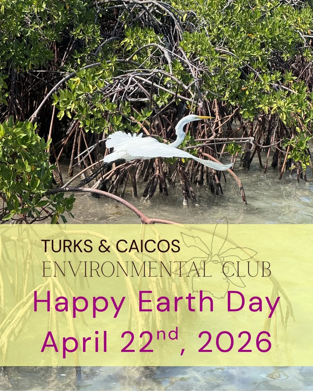 Happy Earth Day Turks and Caicos! 🌎🌱🏝️🇹🇨 

#earthday2026
#sustainablefuture