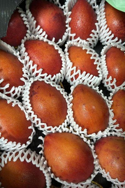 Tree Tomato Red Variety (Tomarillo Rojo) -
6lb Box