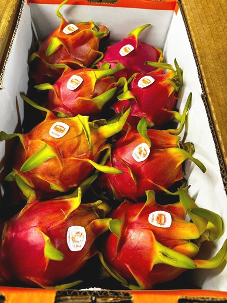Dragon Fruit White Flesh (Pitaya Roja) -
10lb Box