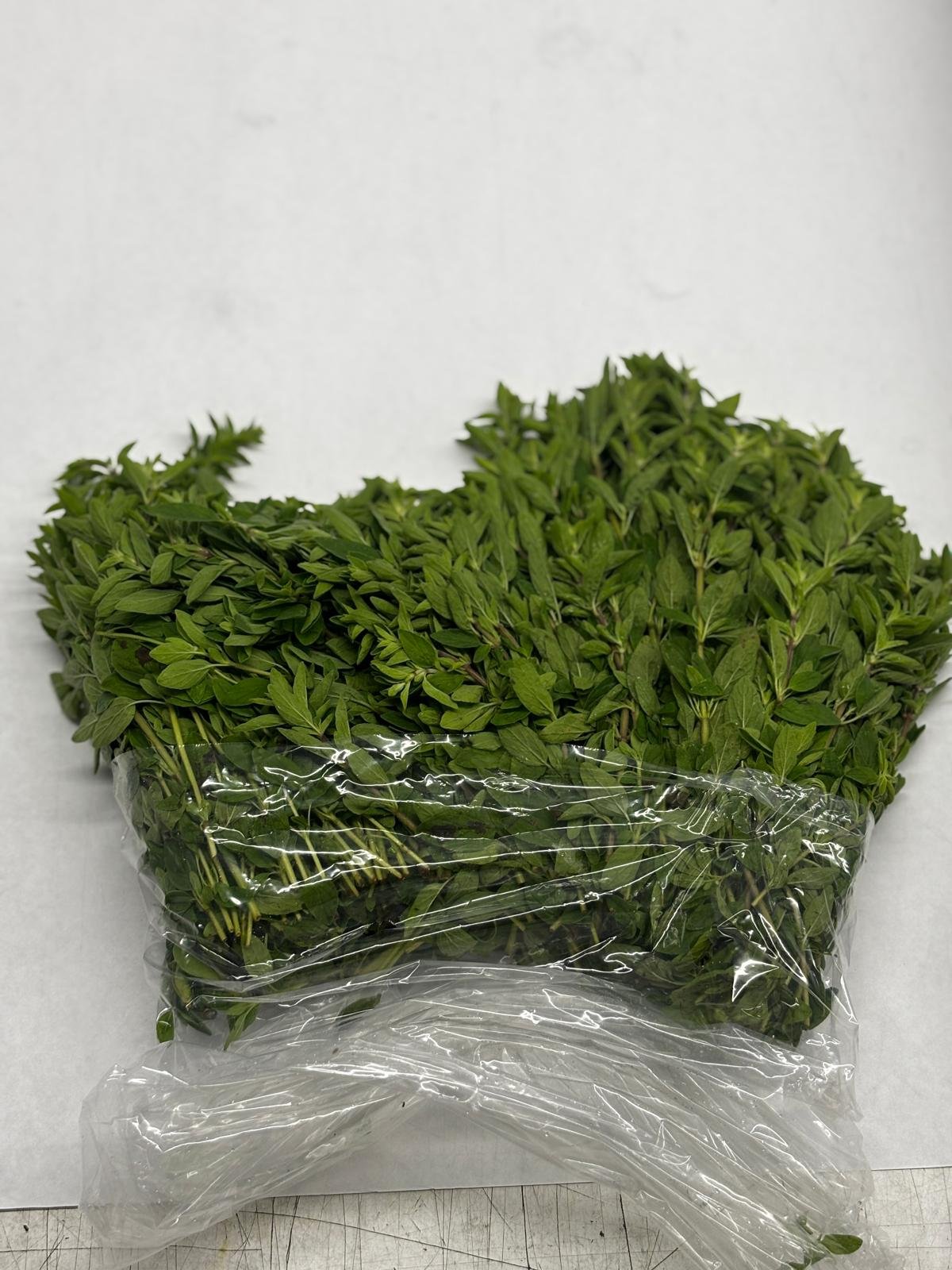 Mejorana (Marjoram) -
14x1 lb Bags per Box