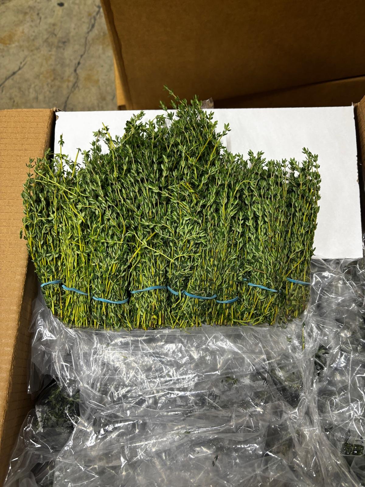 Tomillo (Thyme) -
16x1 lb Bags per Box