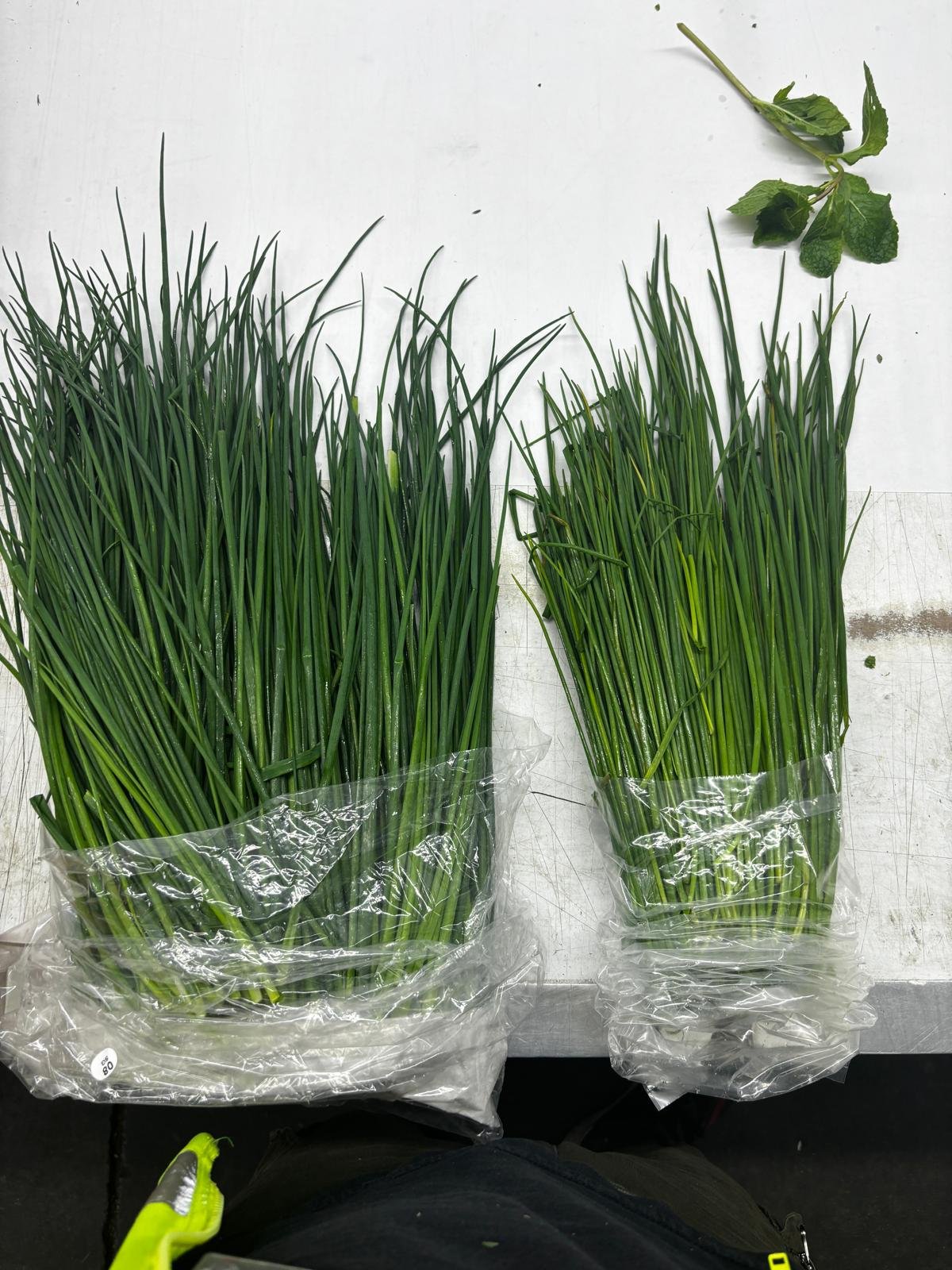 Cebollino (Chives) -
16x1 lb Bags per Box