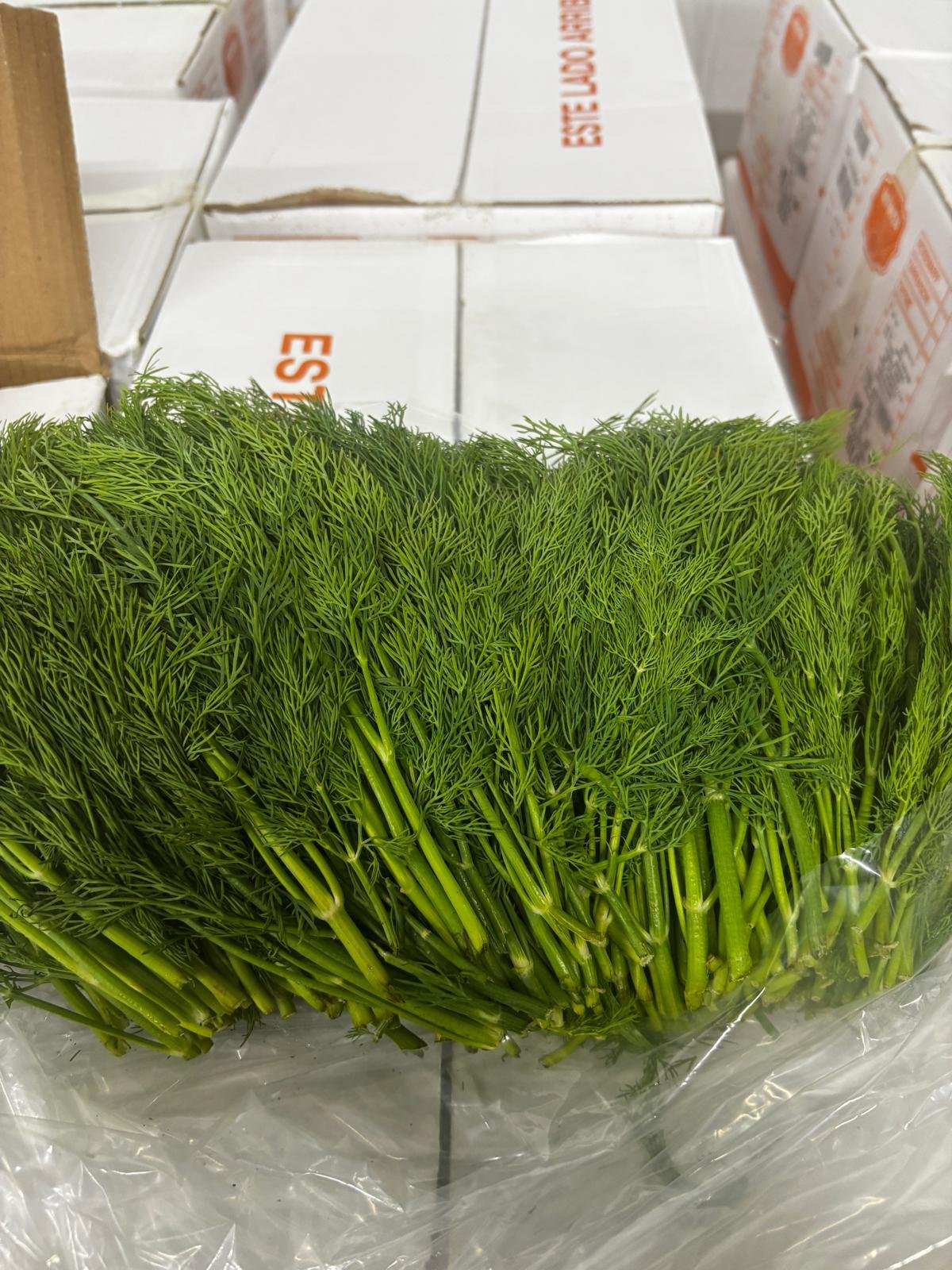Eneldo (Dill) -
16x1 lb Bags per Box