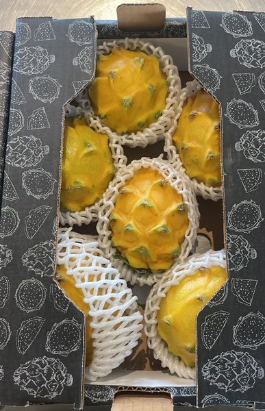 Dragon Fruit Yellow (Pitaya Amarilla) -
5lb Box