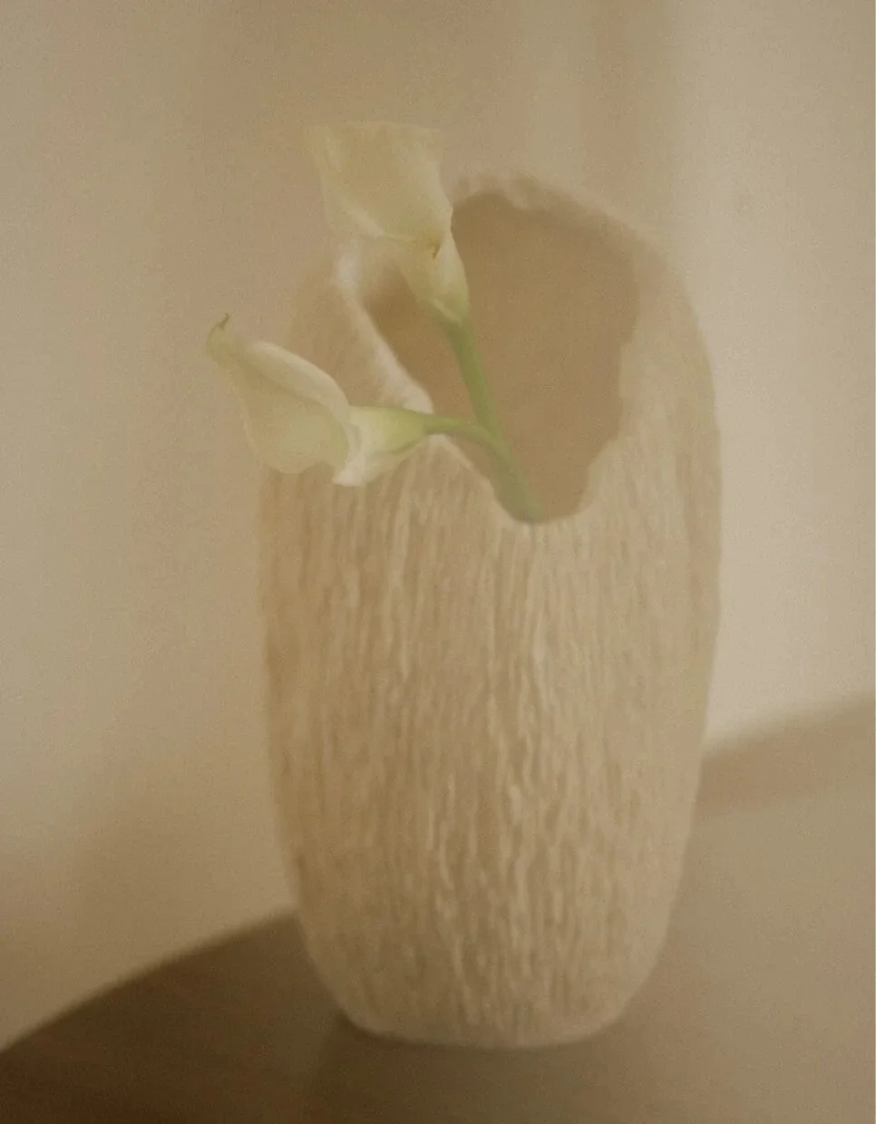 Flowers in an aesthetic vase showing brand by web designer in Los Angeles California