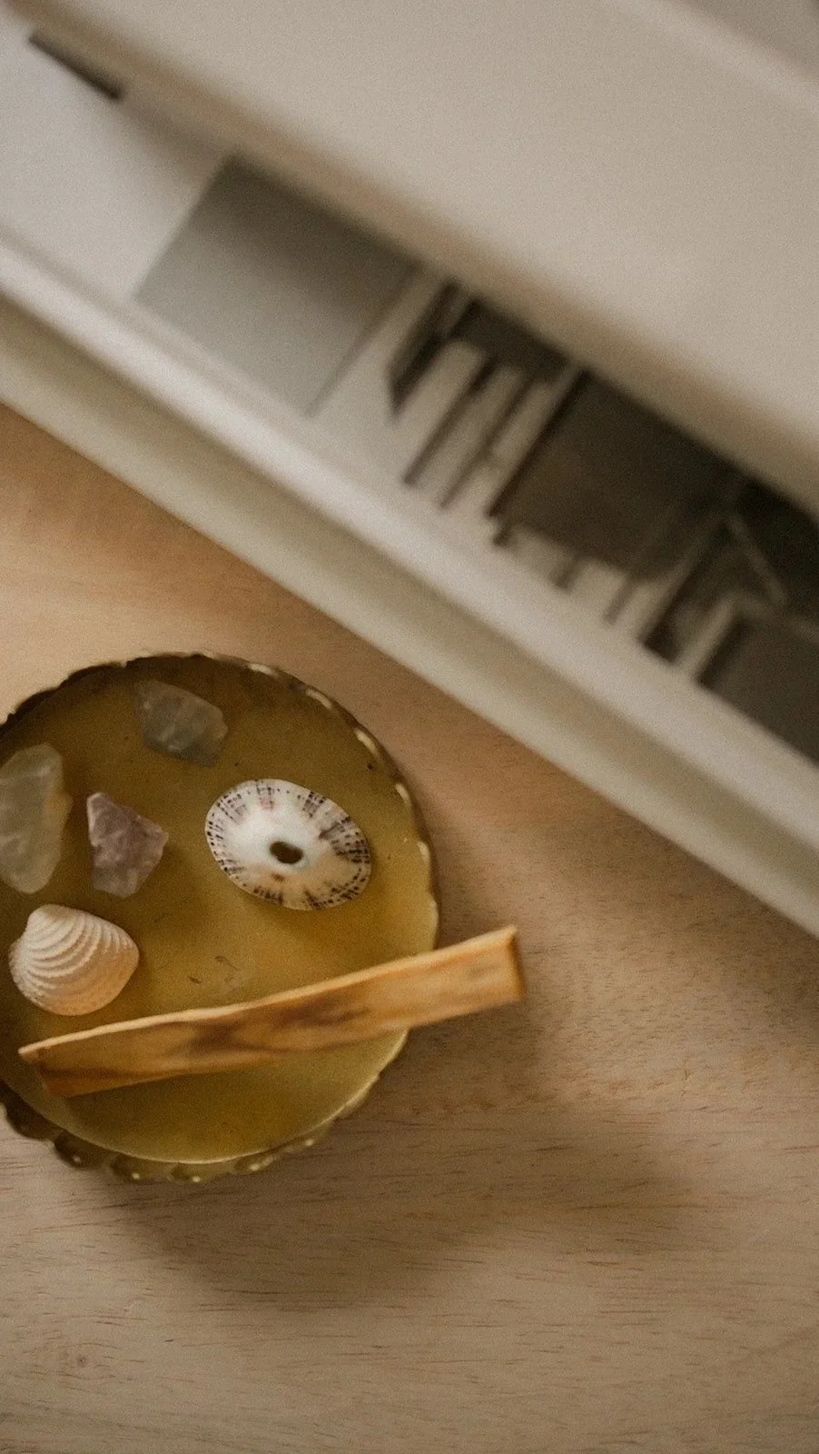 Shells on a plate showing website in one week by Adoro Secco
