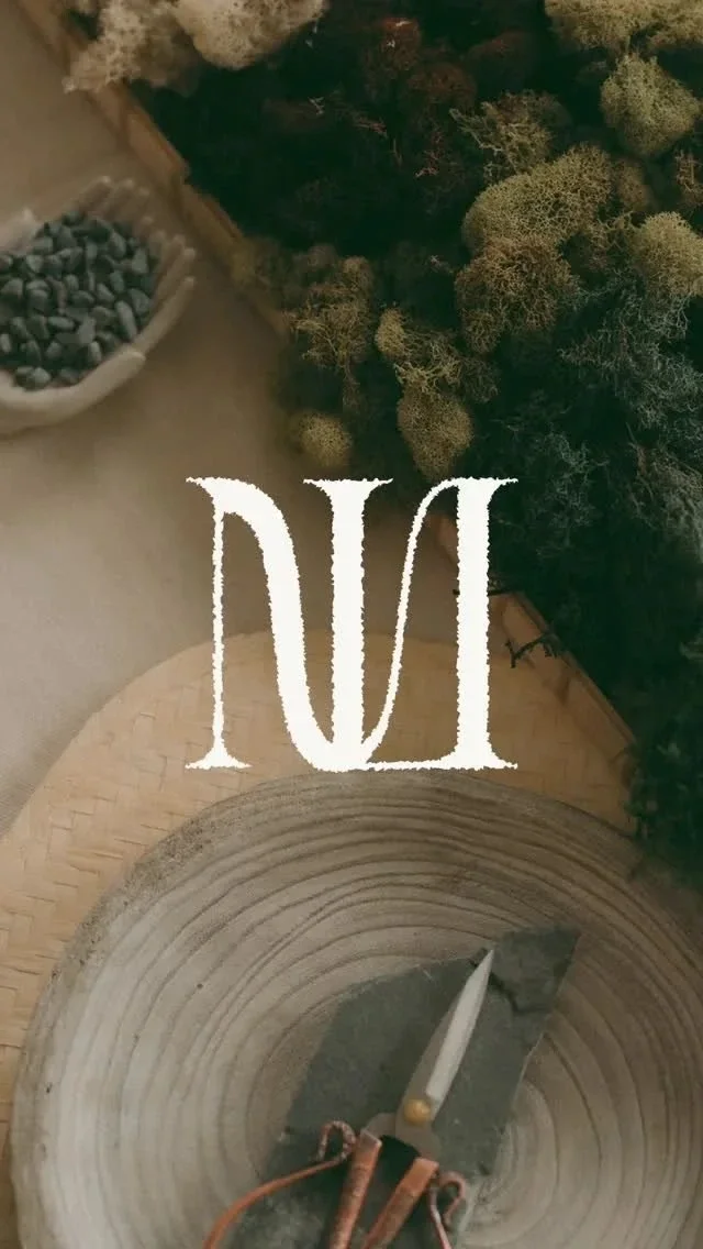 Branding and website design packages for beauty and wellness companies