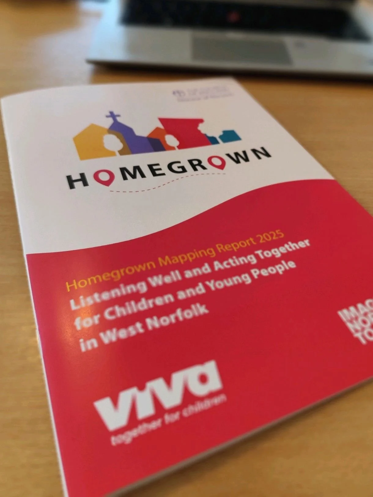  Norfolk focused mapping report 