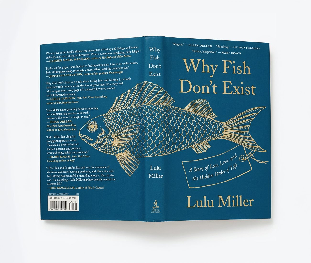1-Why Fish Don't Exist.png