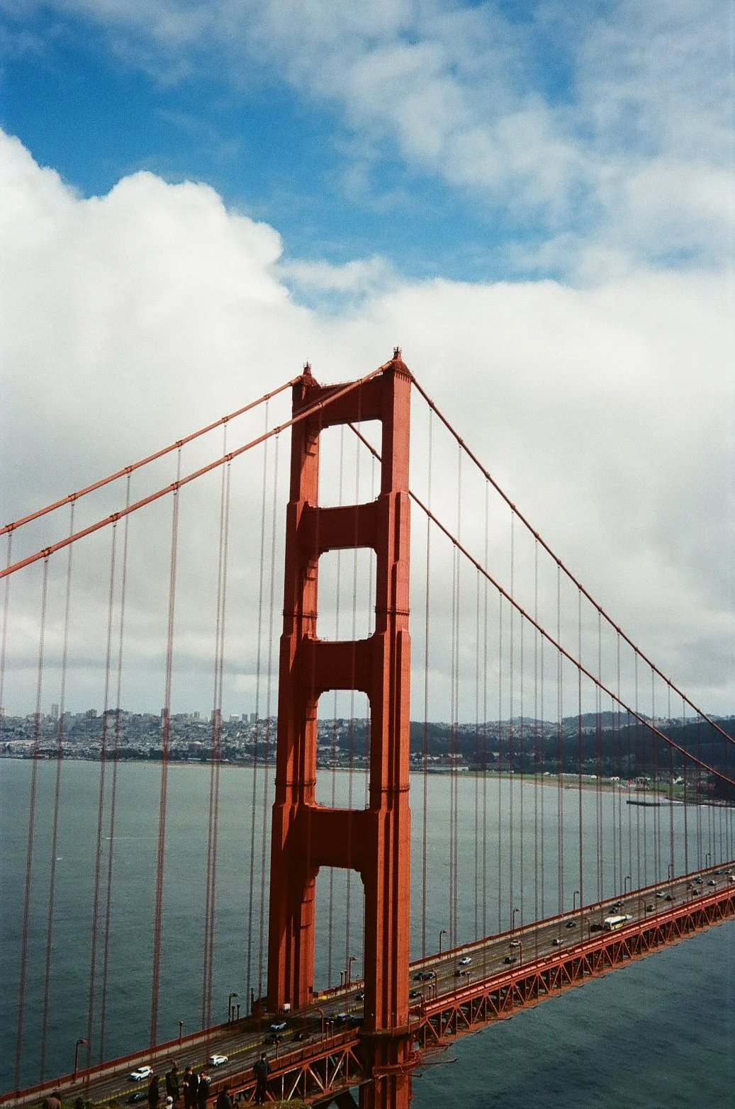 804745010011.jpg