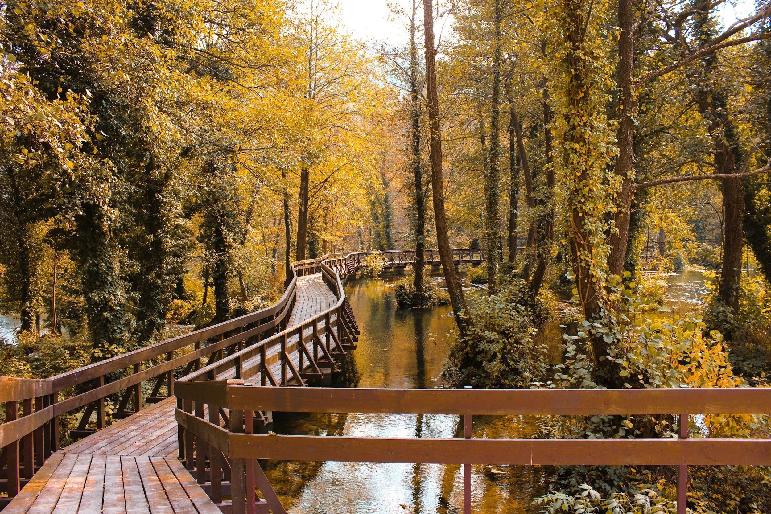A wooden bridge over water in fall foliage.