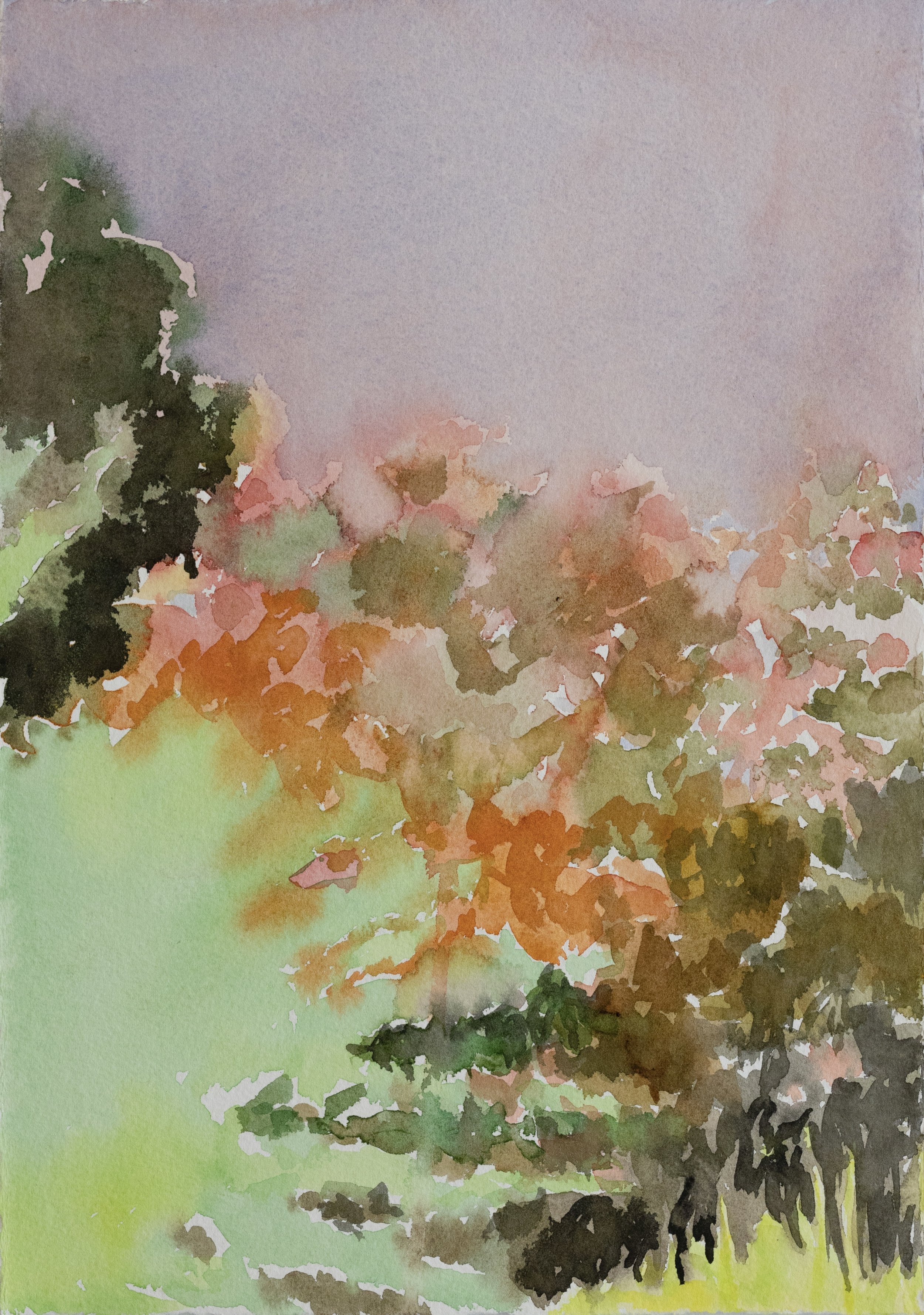 Green-Wood, Haze 10" x 14", 2024