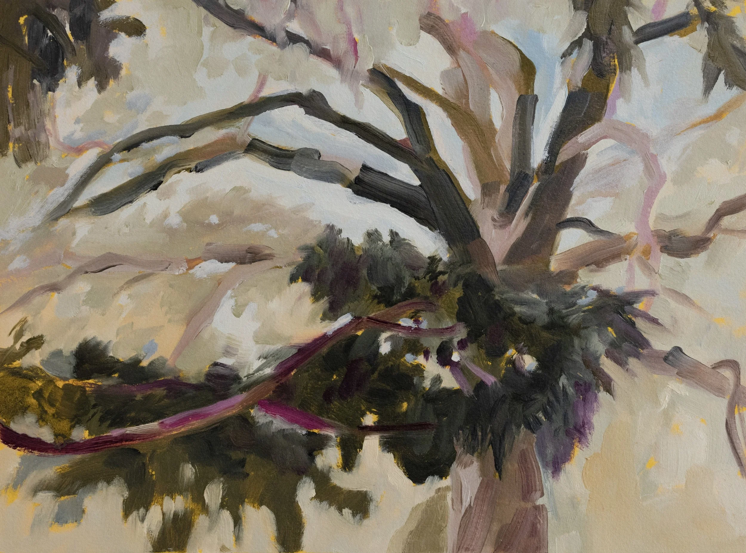    Magenta Branch on Lost Hill     
 Oil on Paper on Wood   9.5 " x 13", 2023