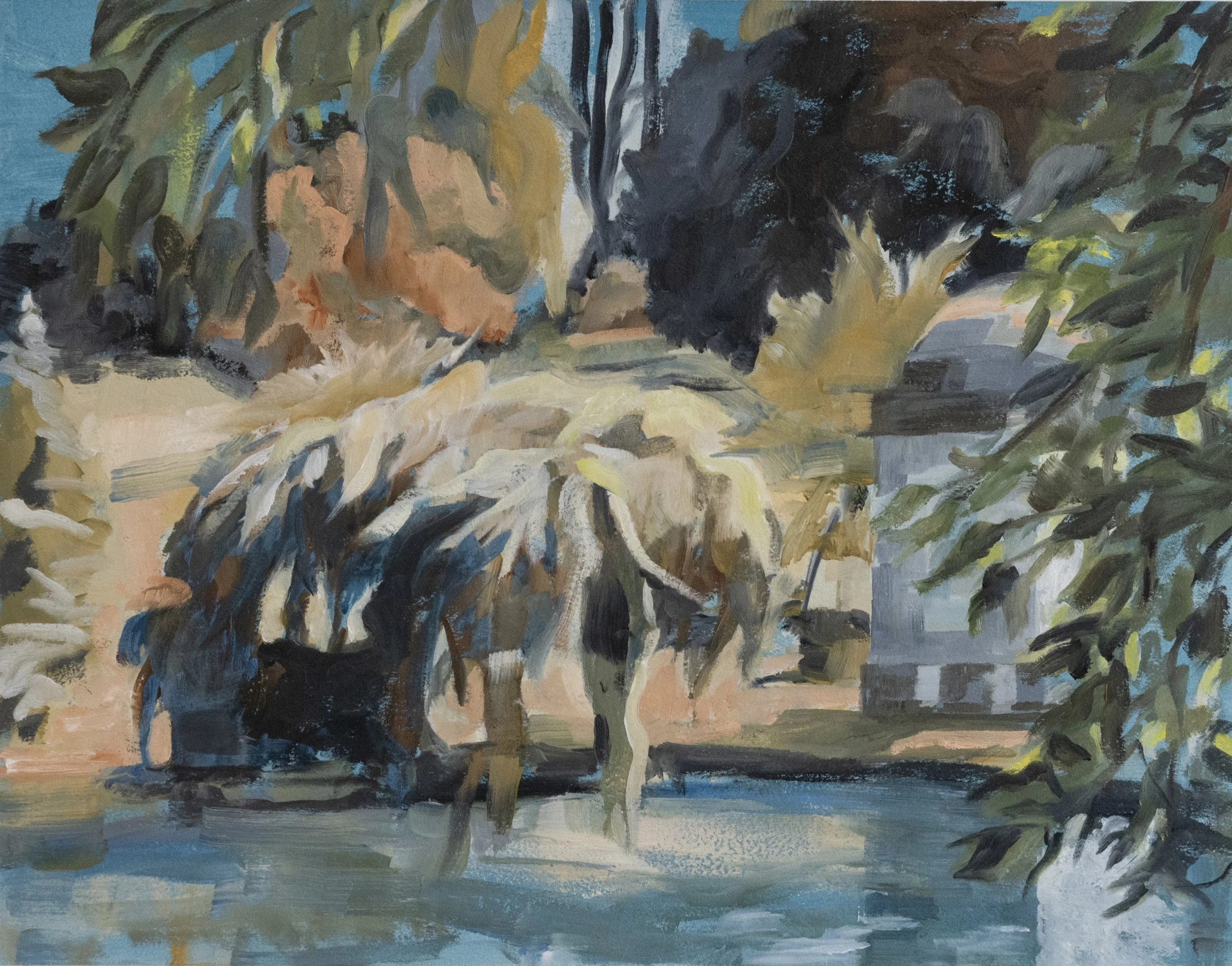 Crescent Water- Blue Hoshino Cherry
11” x 14”, 2024
