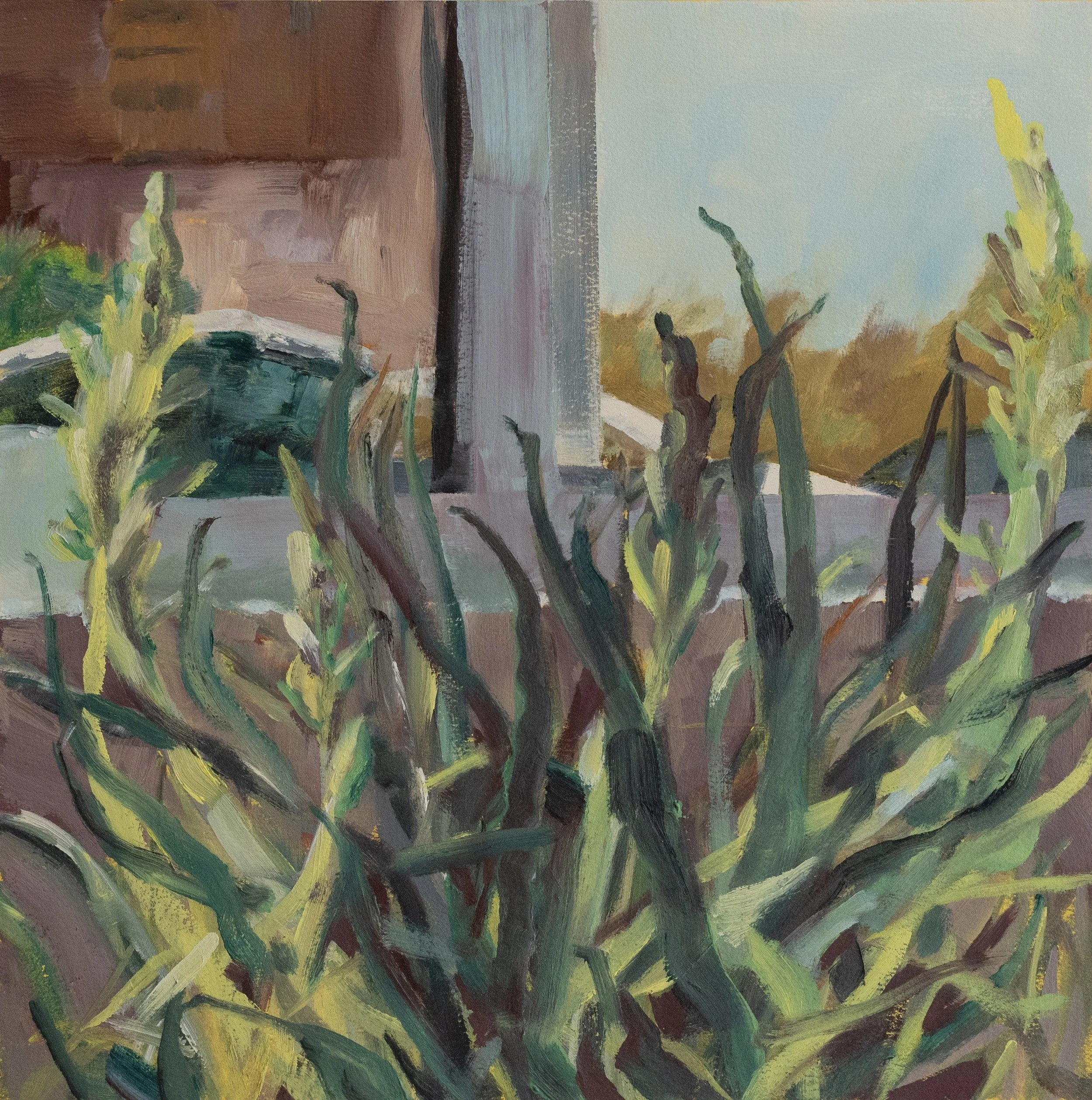   Winter Aloe     
 Oil on Paper on Wood   14" x 14", 2023