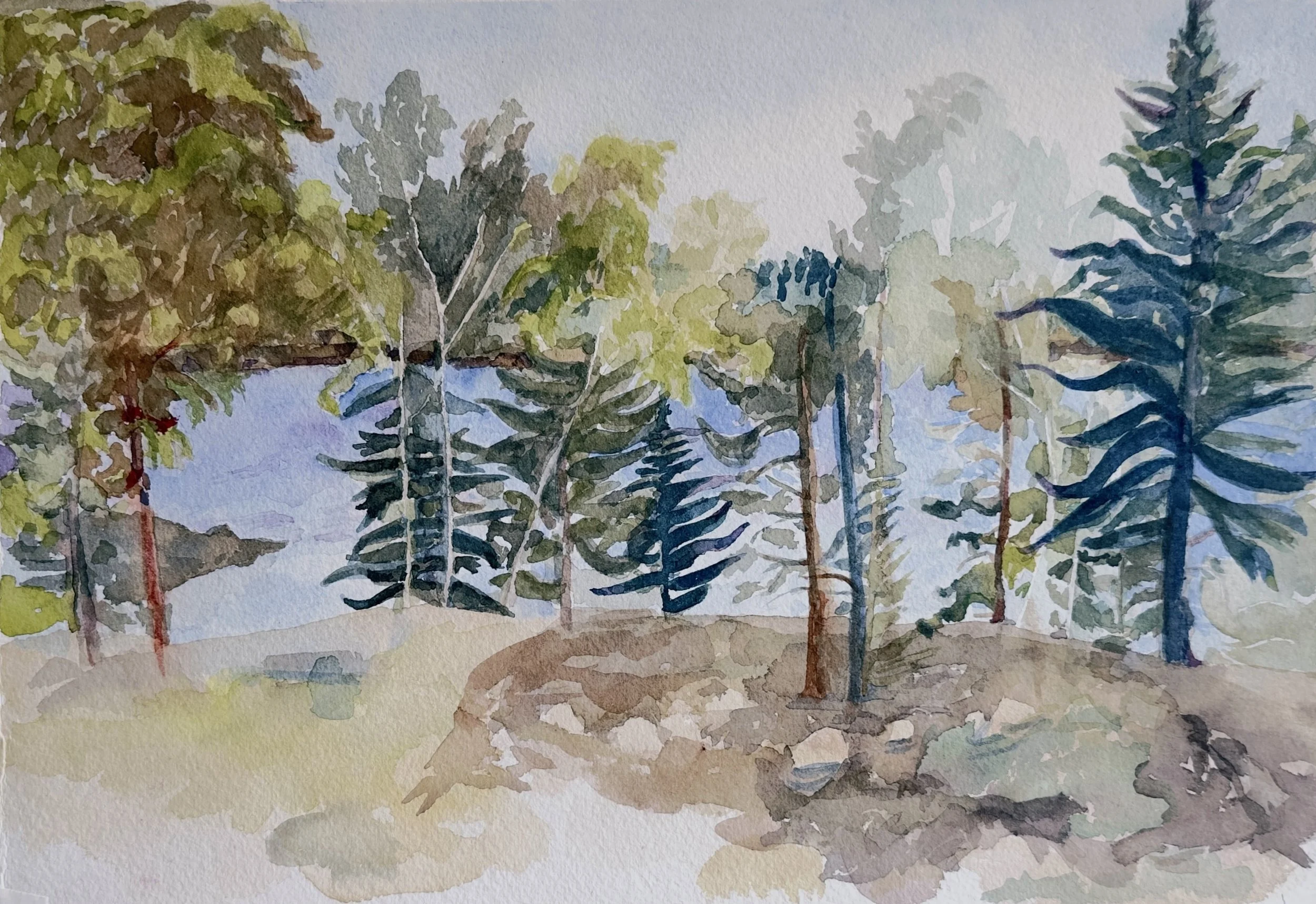 View from Eliot's Porch  10" x 14", 2025