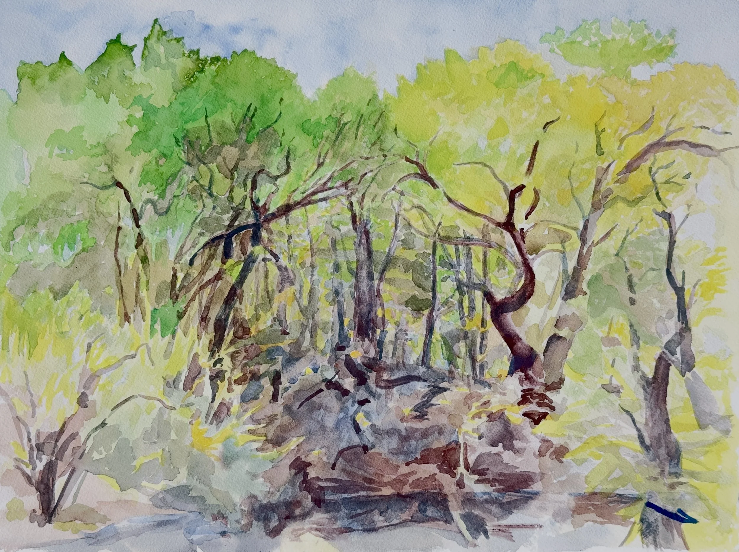 Spring- Dell Water 12" x 16", 2026