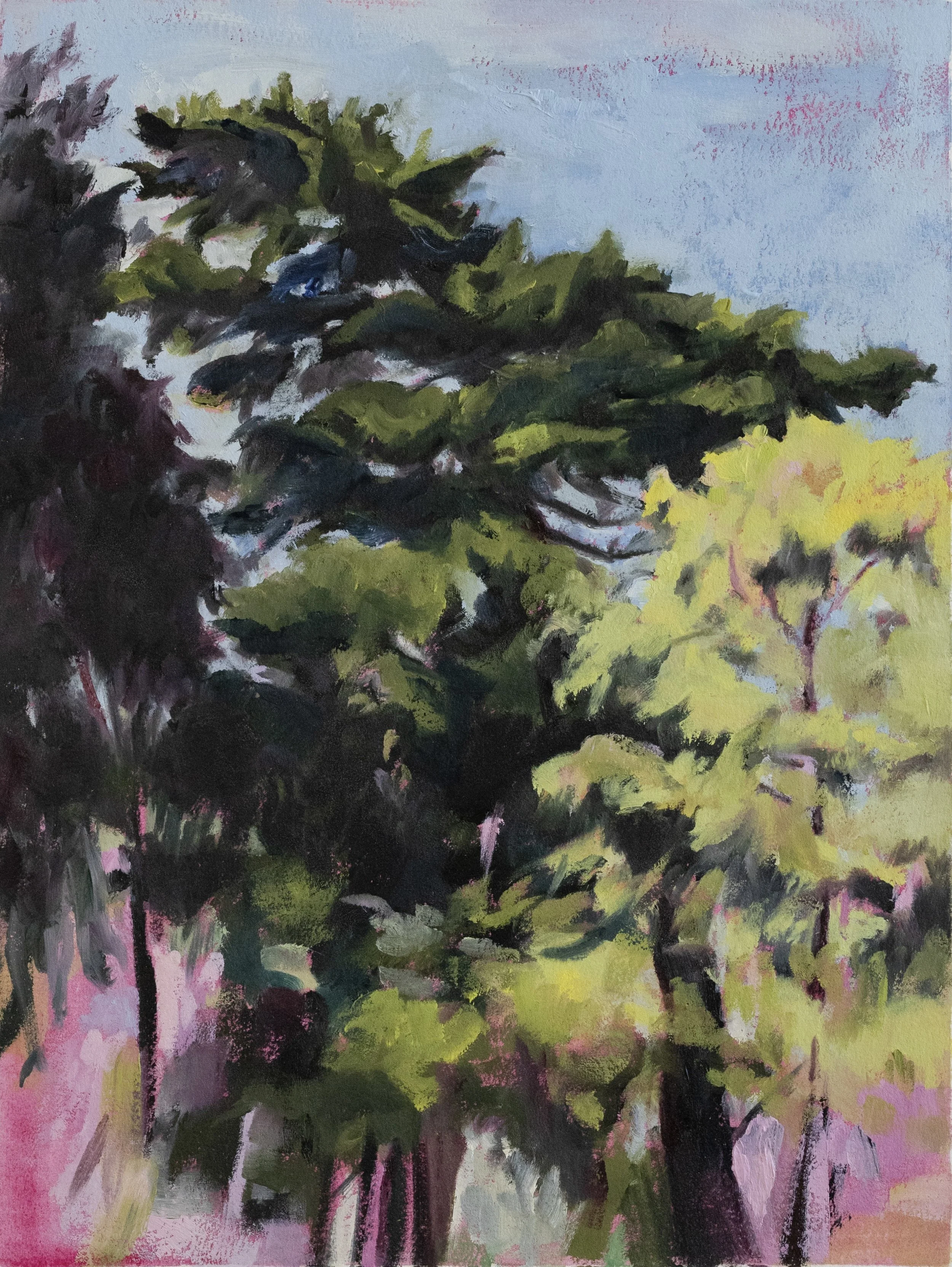  Pink    
Oil on Paper on Panel  
9" x 12", 2023