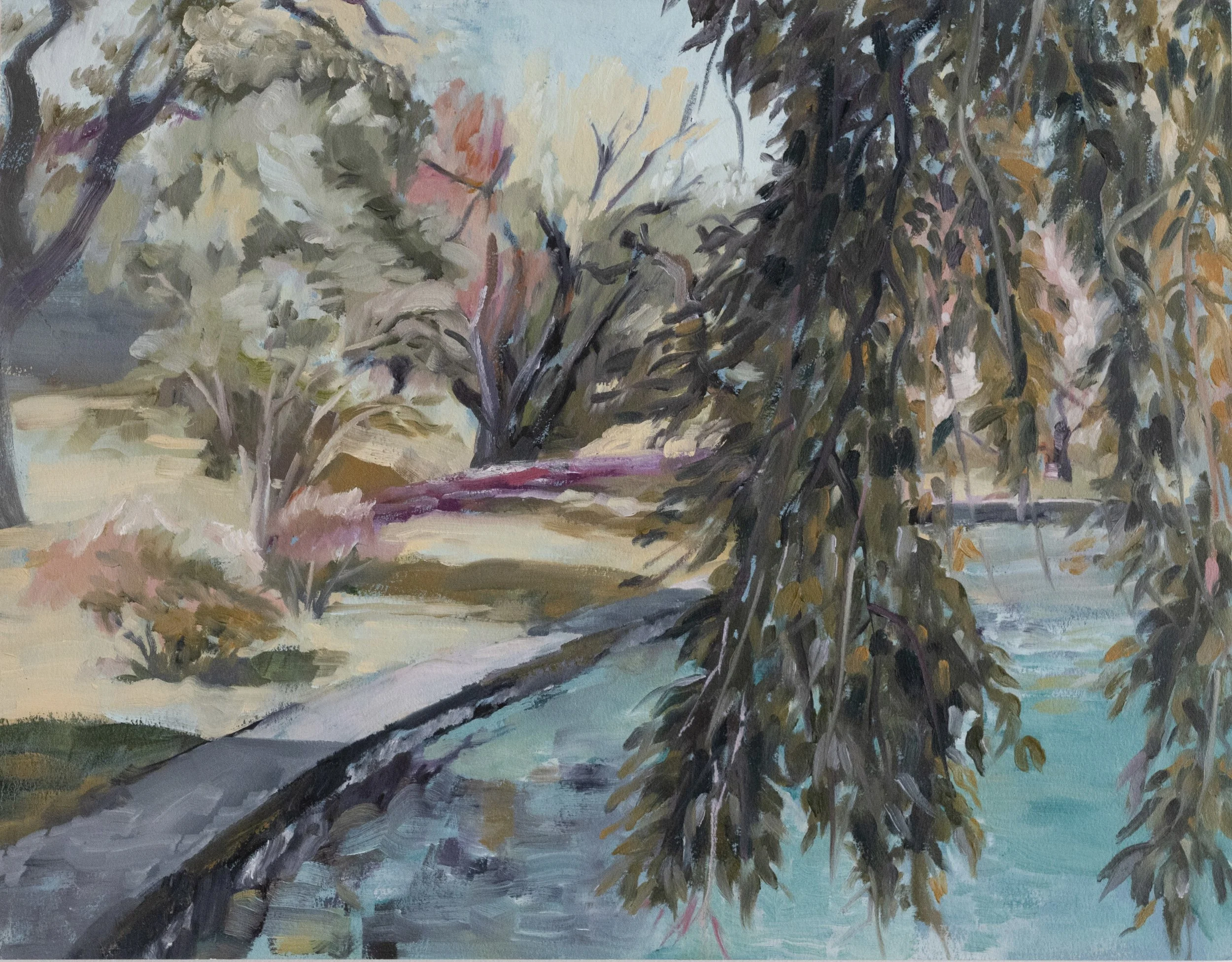 Crescent Water- Under the Hoshino Cherry  14” x 18”, 2024