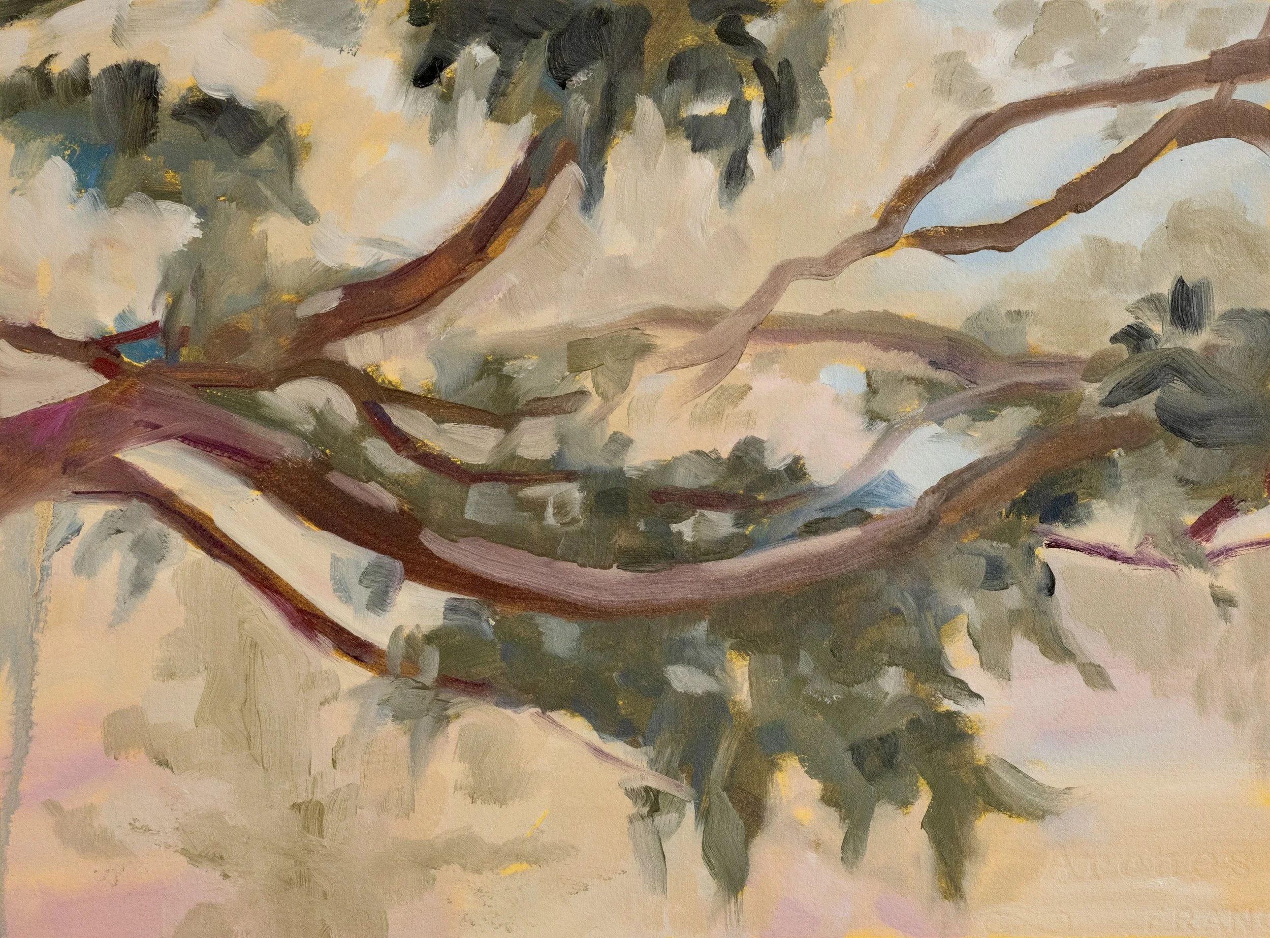   Branch on Lost Hill     
 Oil on Paper on Wood   9.5 " x 13", 2023