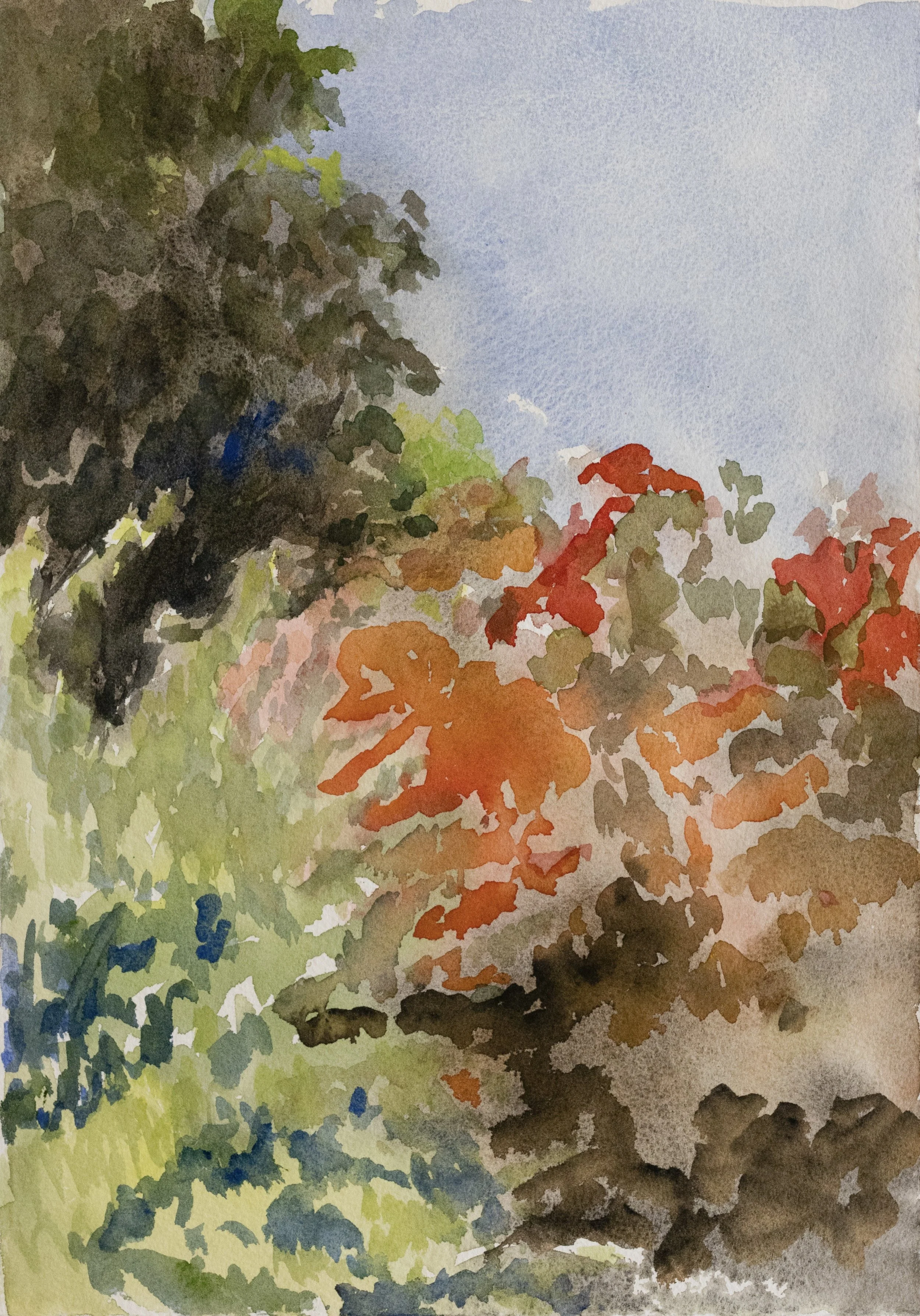 Green-Wood, Noon 10 x 14", 2024