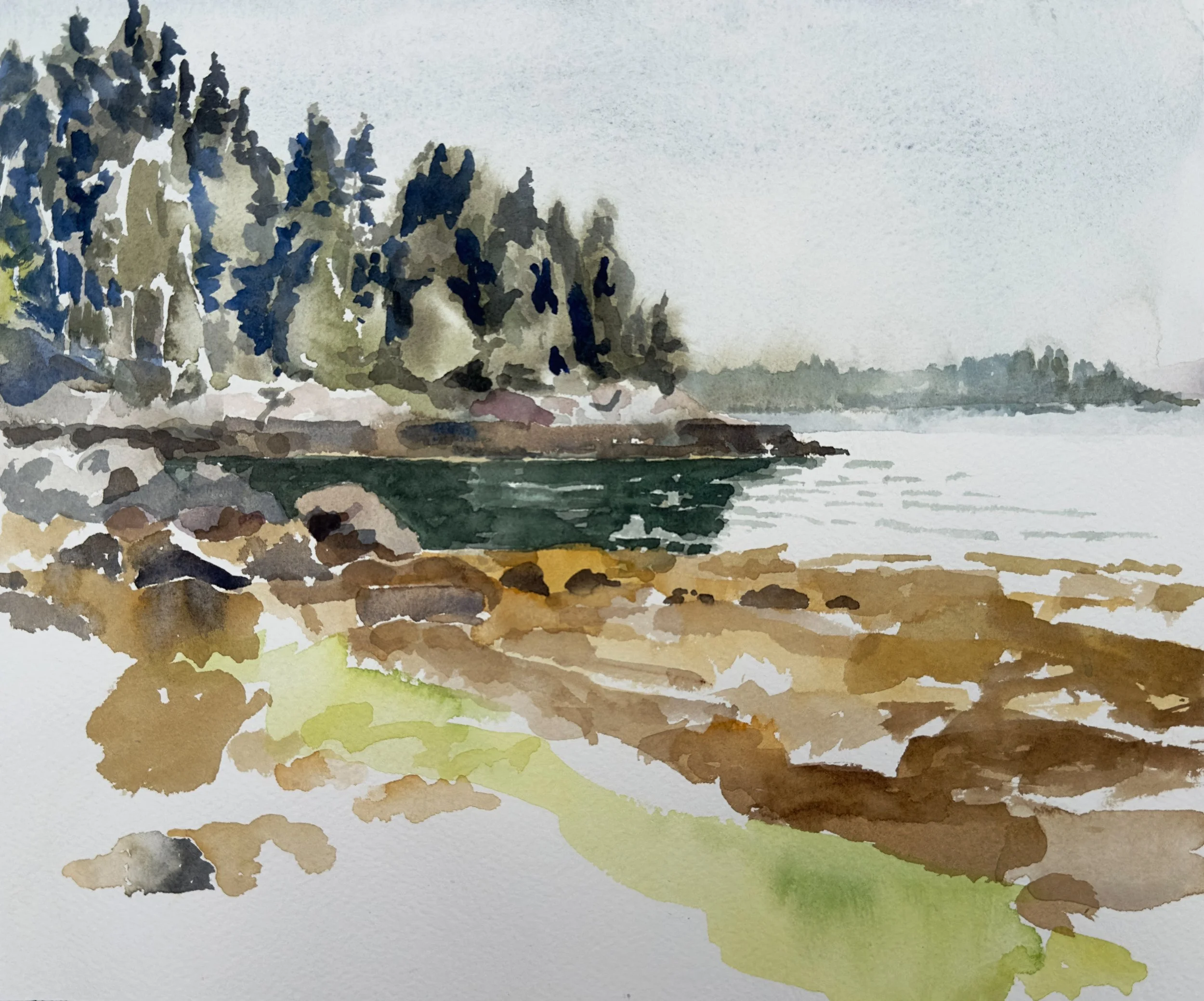  Great Spruce Head Island, Secret Beach   
Watercolor on paper   x" x x", 2025