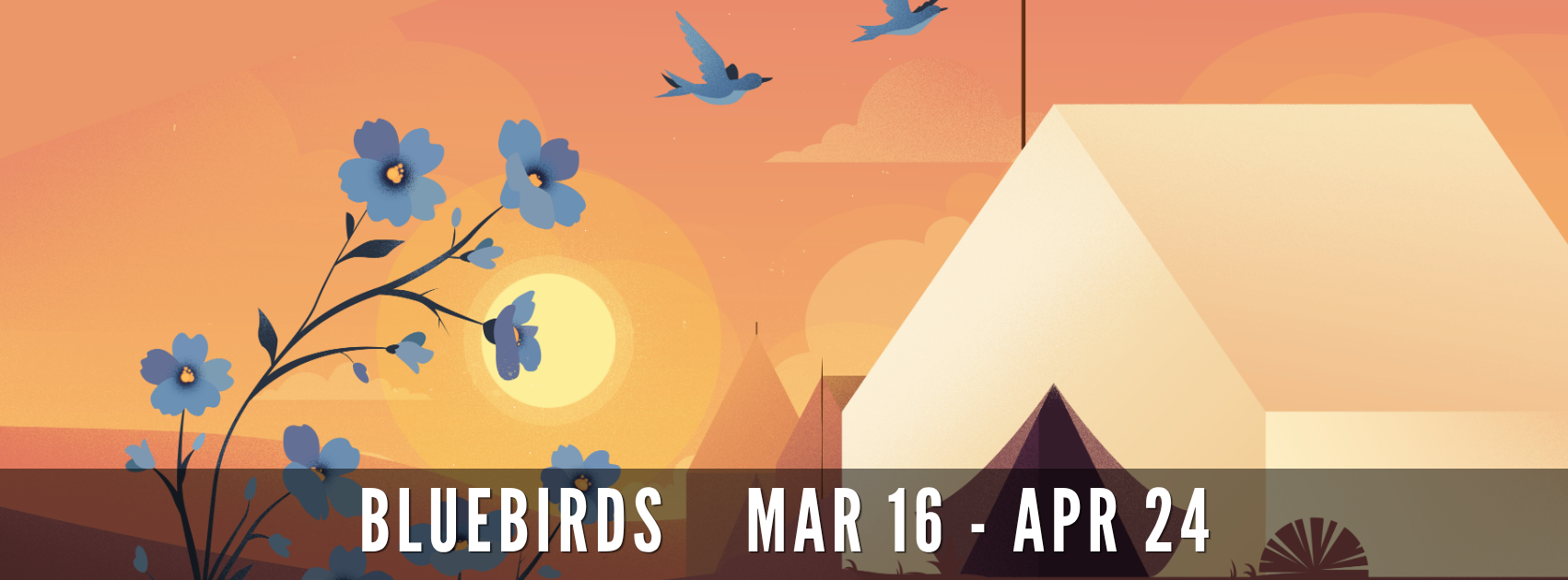 Facebook Banners v2.0 (2).png