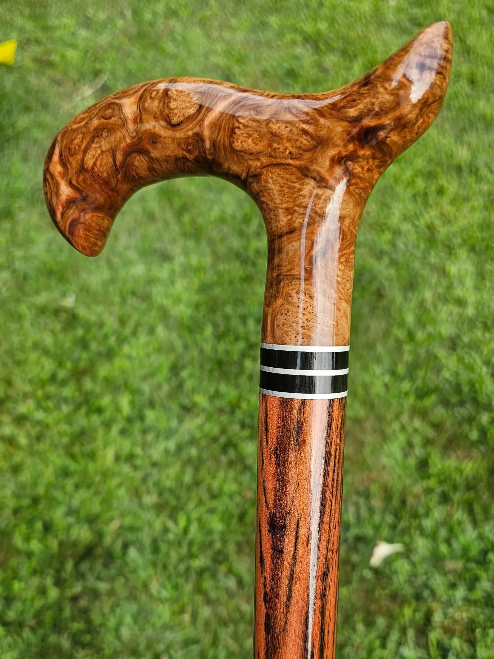 exotic-wood-cane-ringleader.jpg