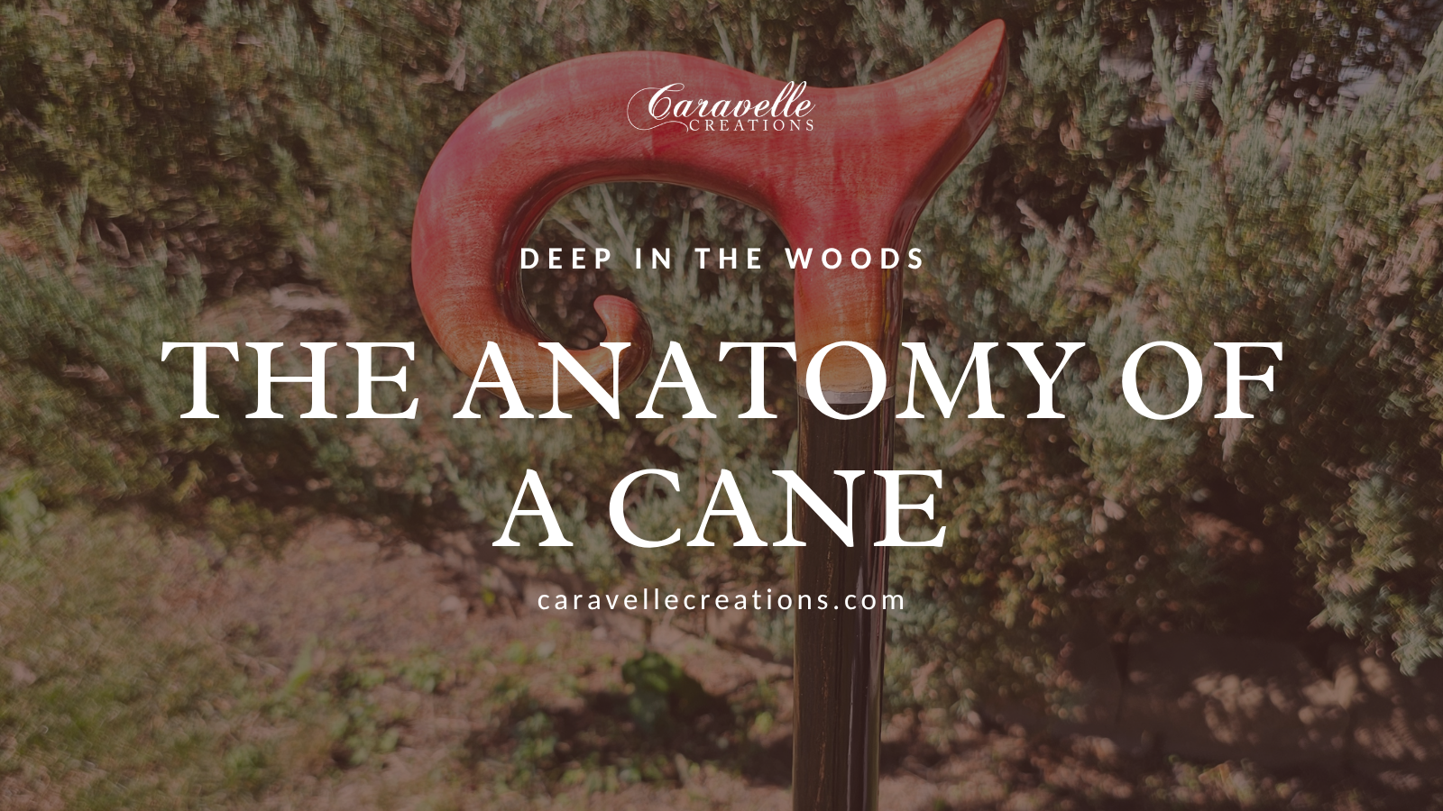 Anatomy of a Cane: Every Part, Handle Style and Shaft Style
