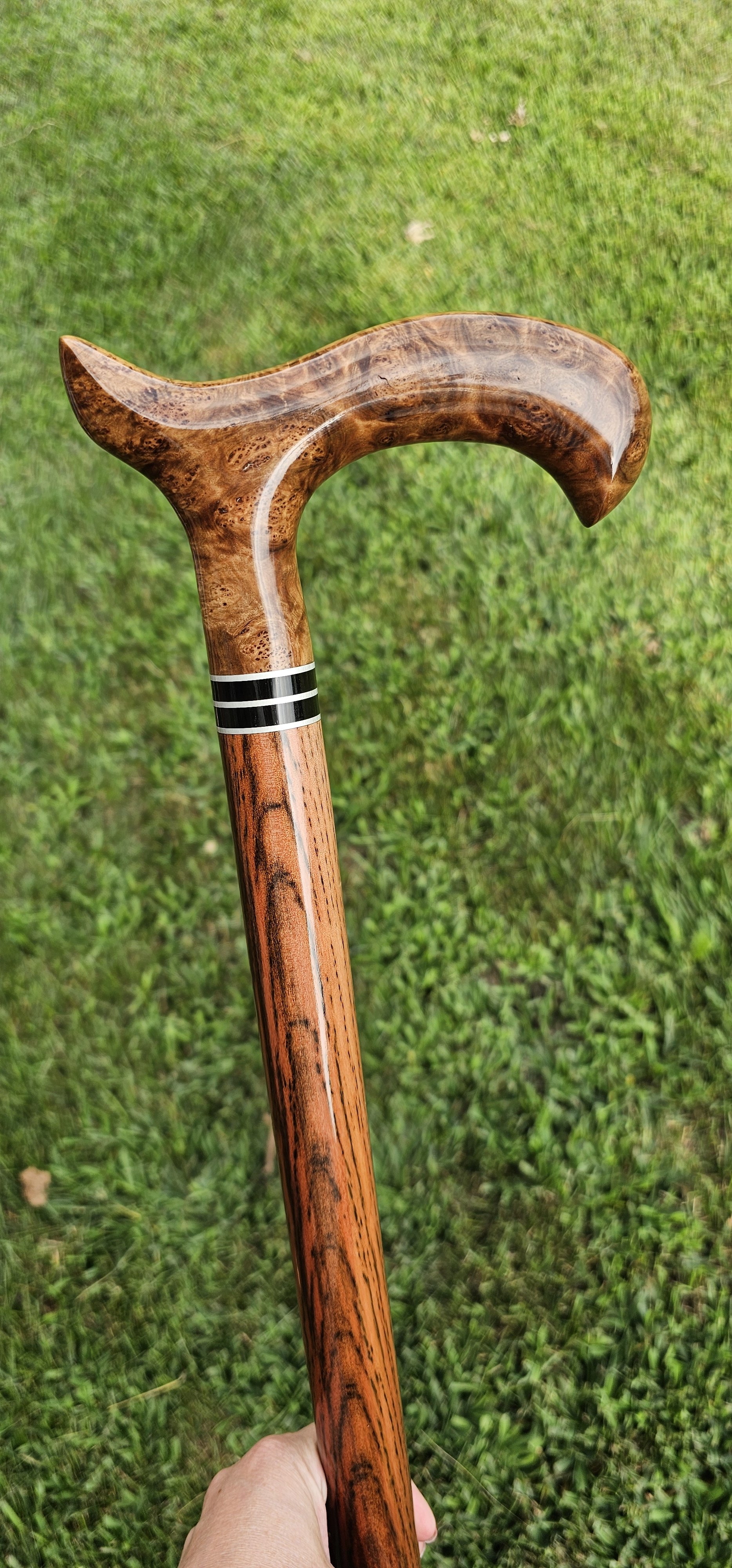 york burl cane-ringleader.jpg