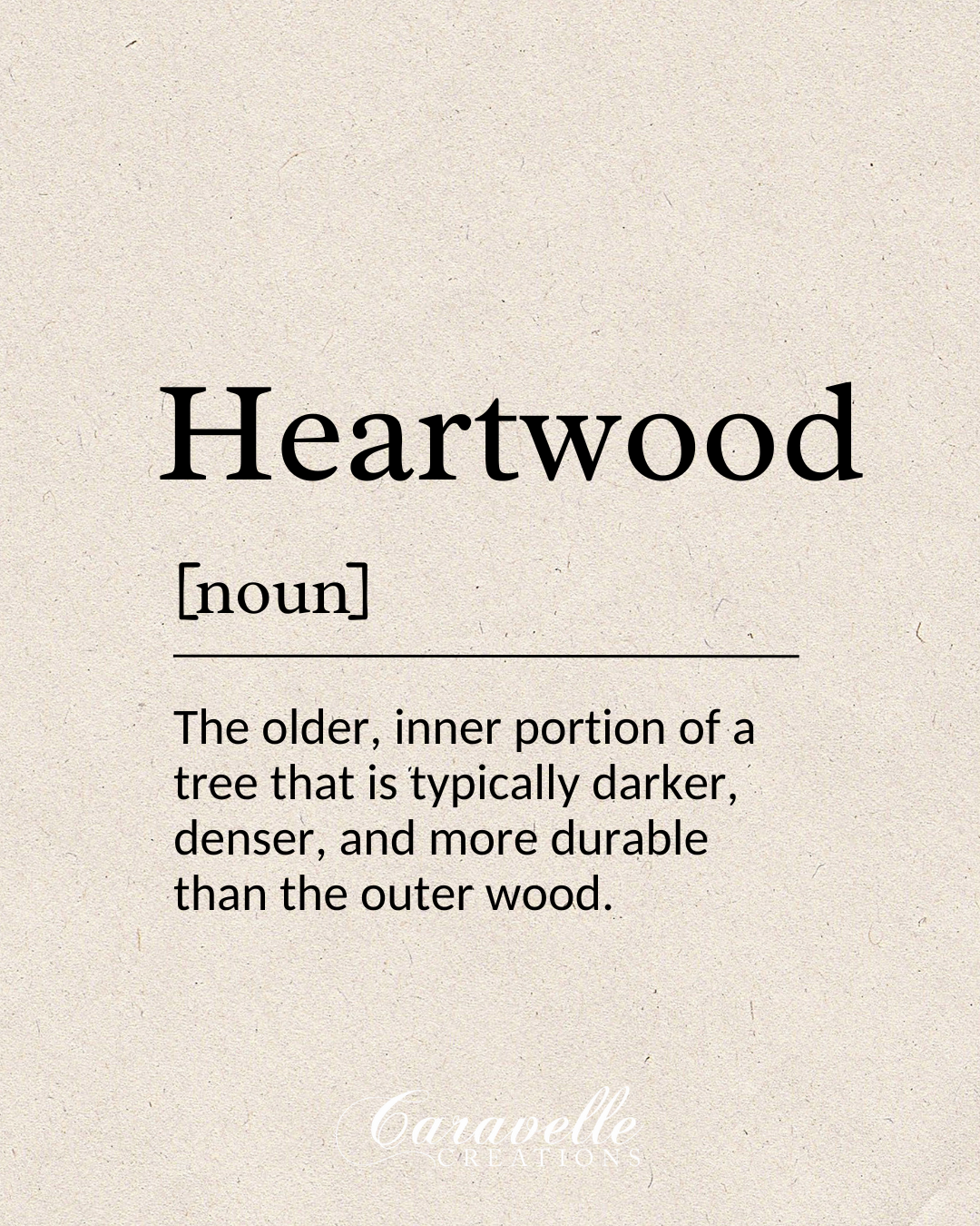 Definition card for heartwood, the older inner portion of a tree that is often darker and more durable.
