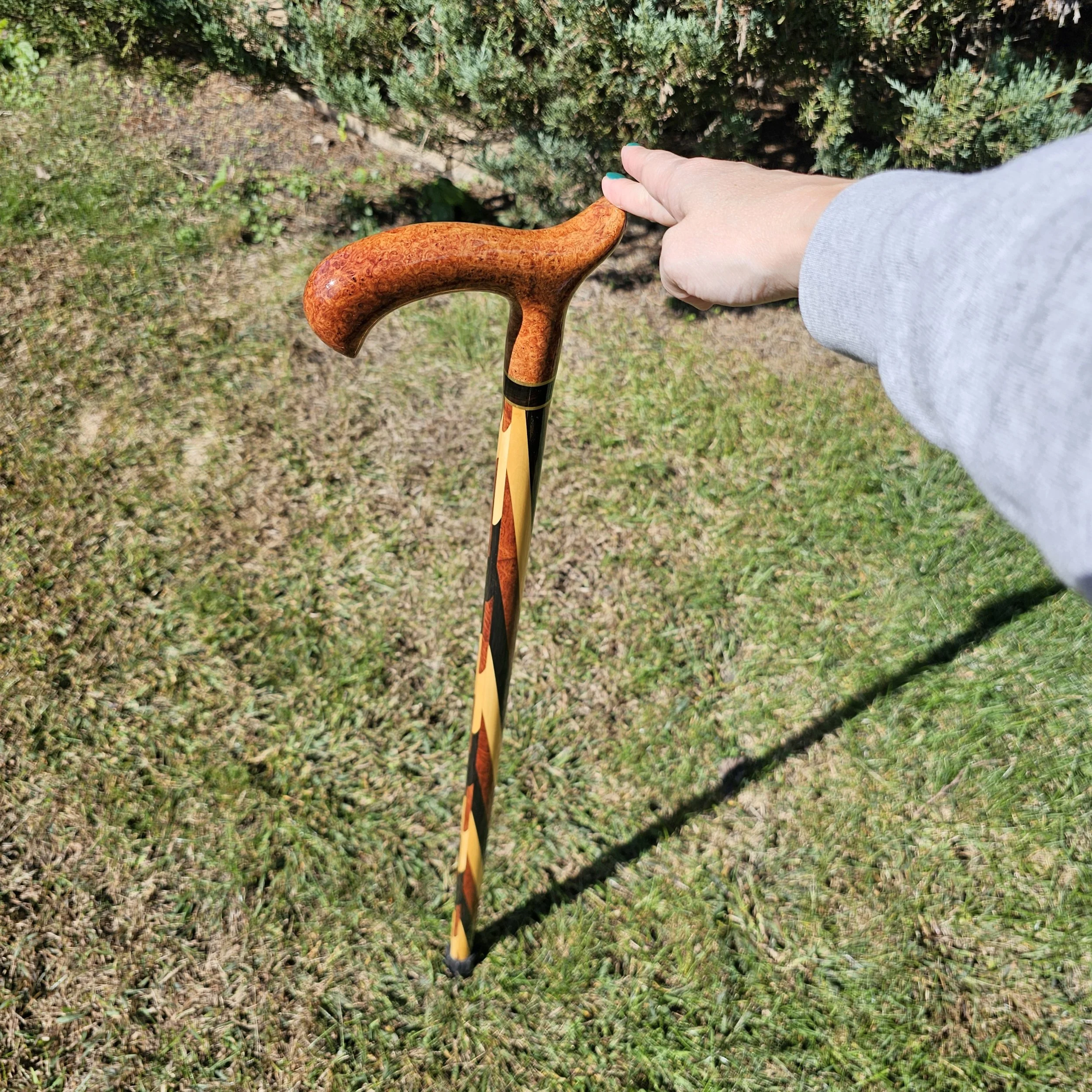 Rare wood walking cane Amboyna Ebony burl.jpg