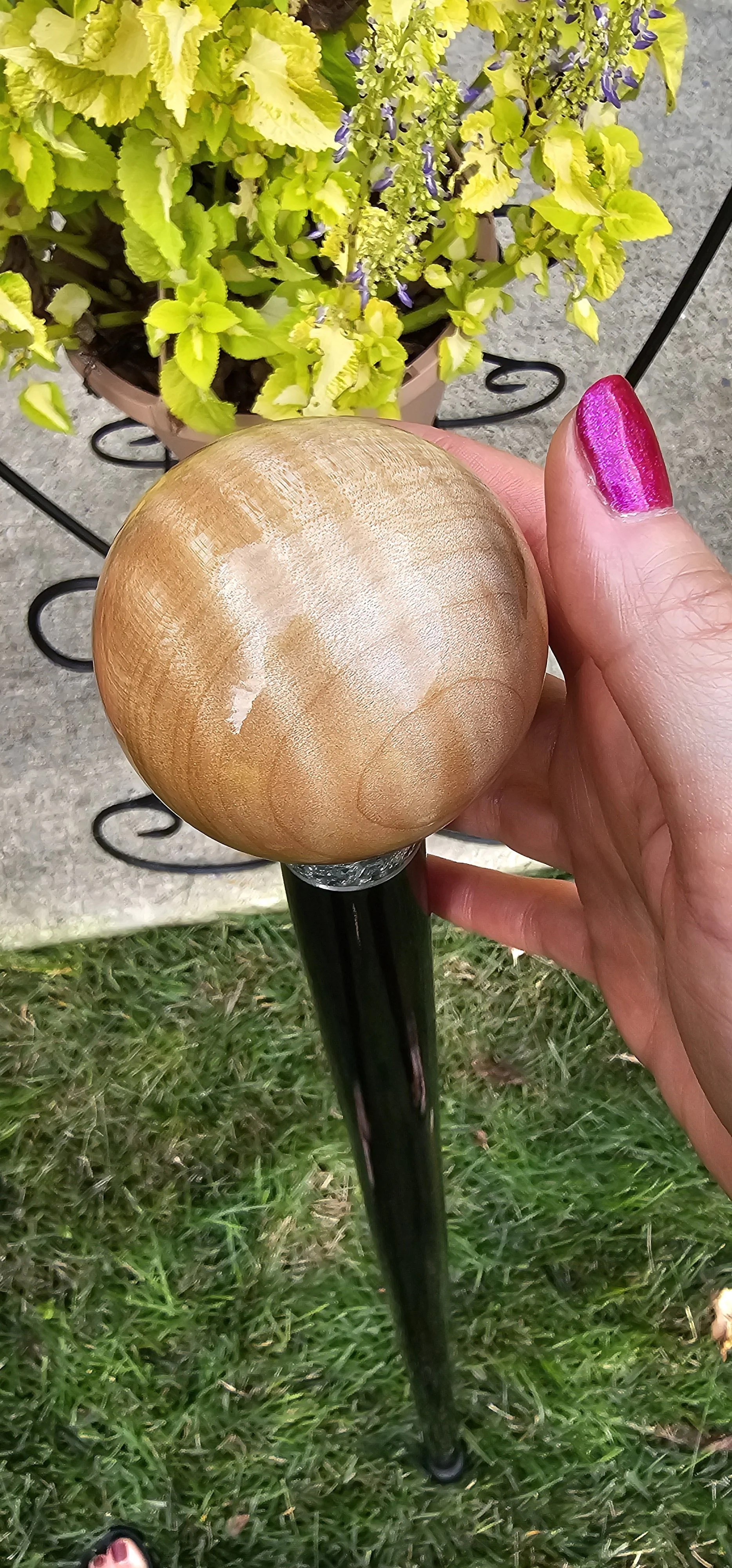 Enchanted - Exotic Wood Cane.jpg