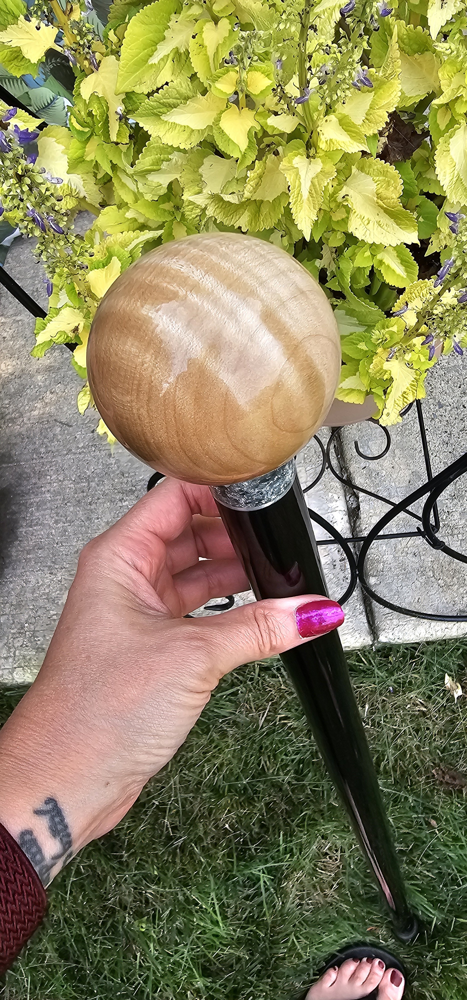 Enchanted - curly maple round handle cane.jpg