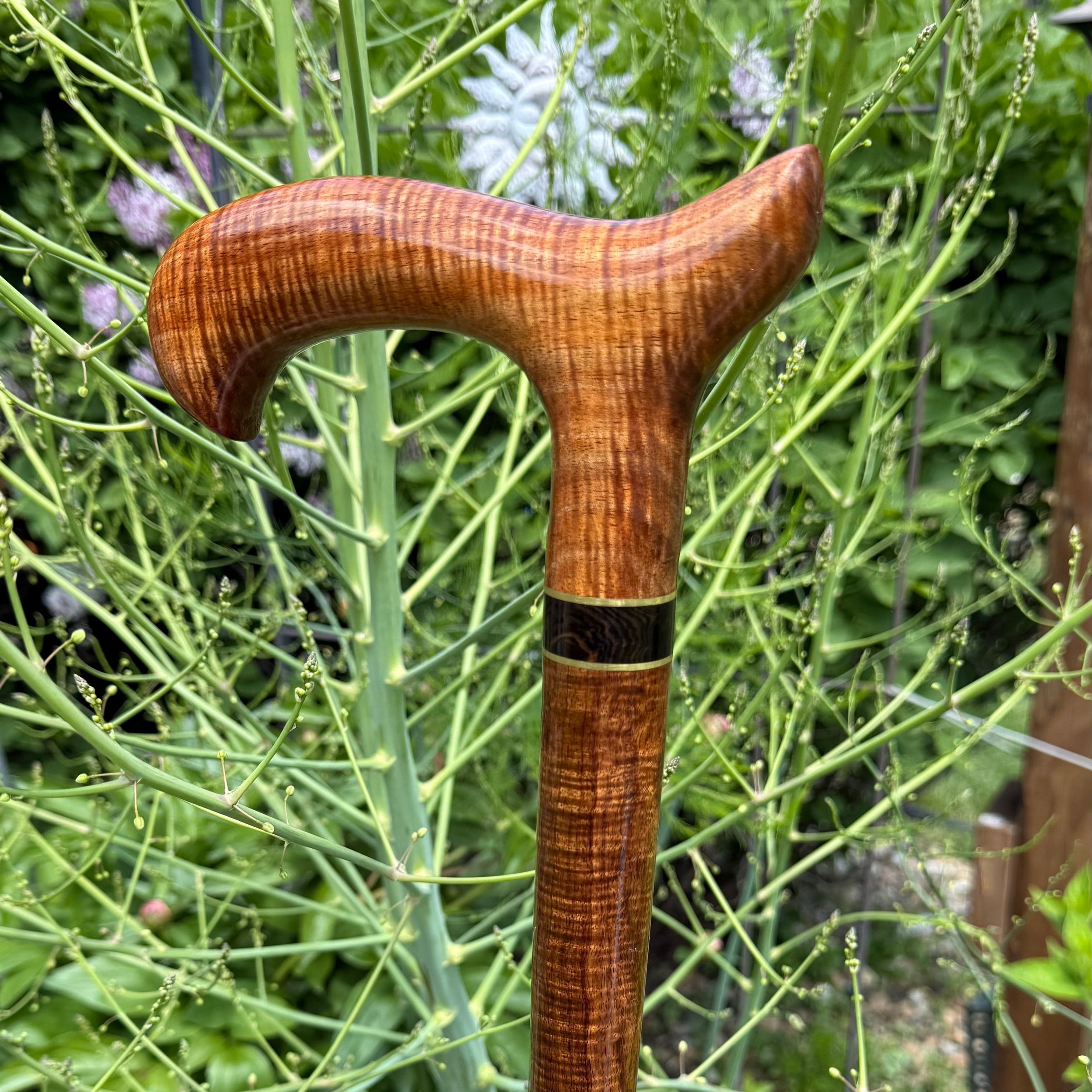 Australian Fiddleback Blackwood hand crafted walking cane