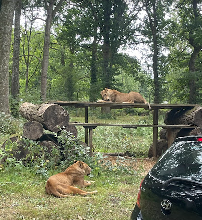 Family Fun in Wiltshire: The Ultimate Day Out Guide