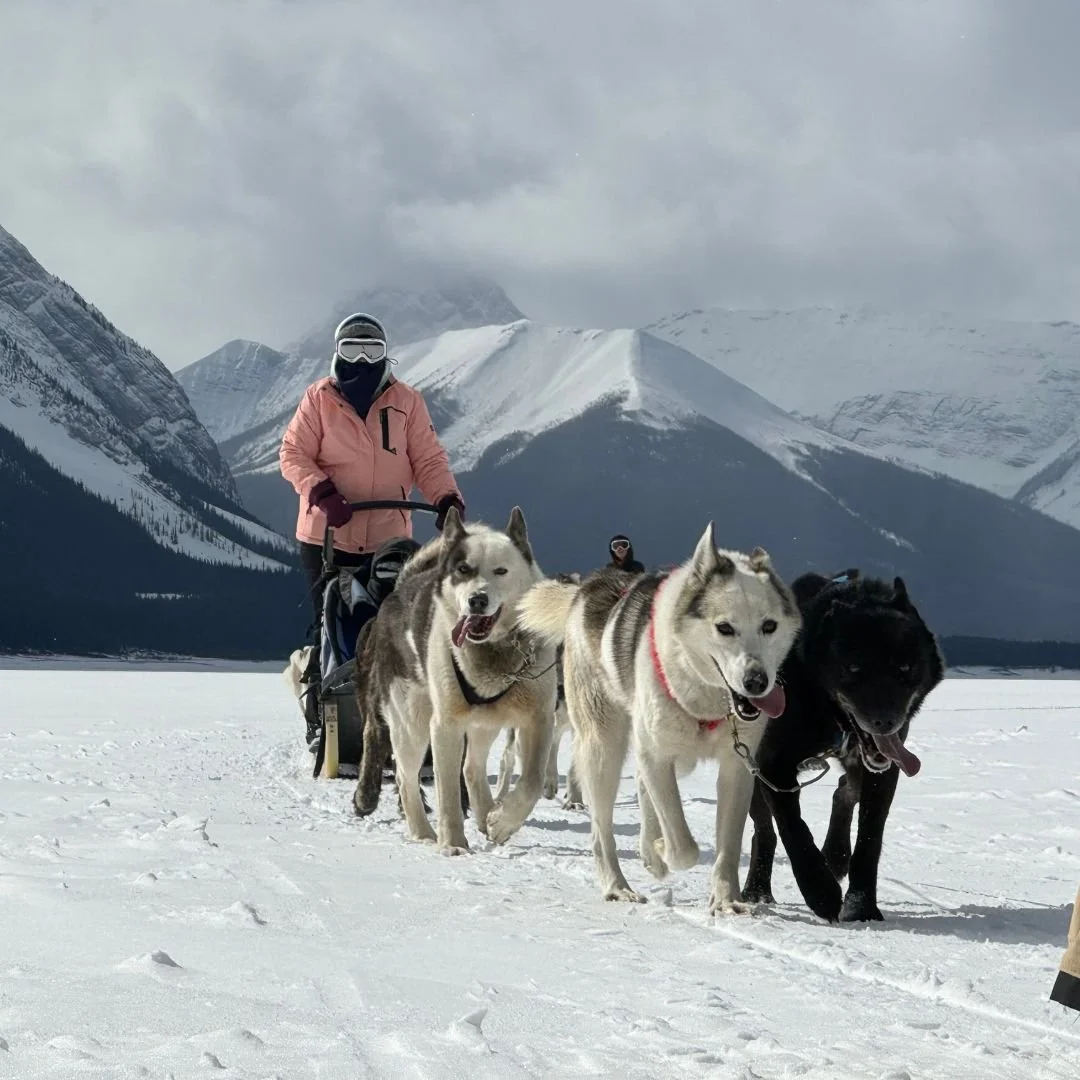 Mushers Path The Spray Lakes Mountain Musher — Mad Dogs & Englishmen