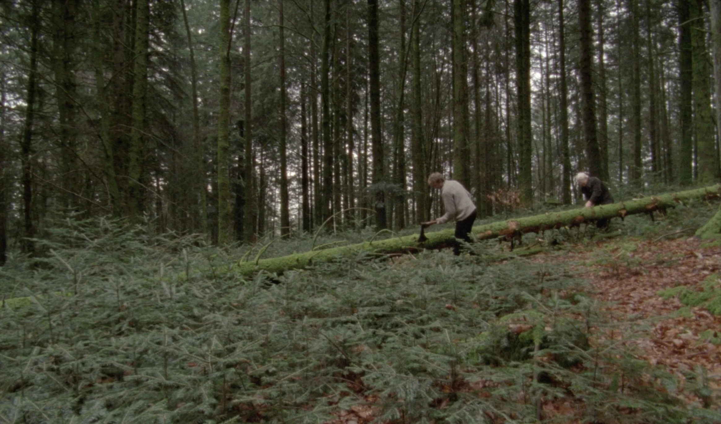 Video still of Une Aventure (2018) by Rebecca Digne