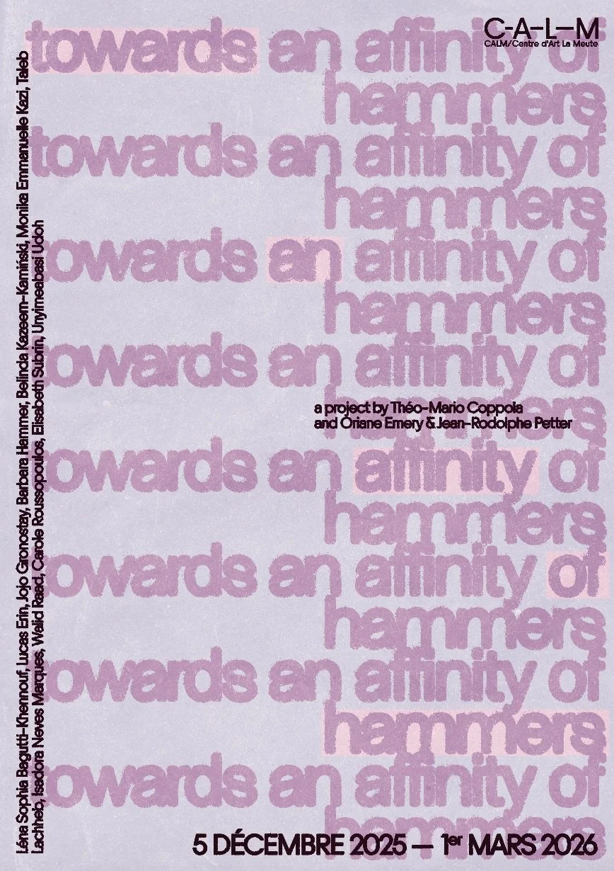 Poster of Towards an Affinity of Hammers co-curated by Théo-Mario Coppola and Oriane Emery & Jean-Rodolphe Petter | 2025-2026