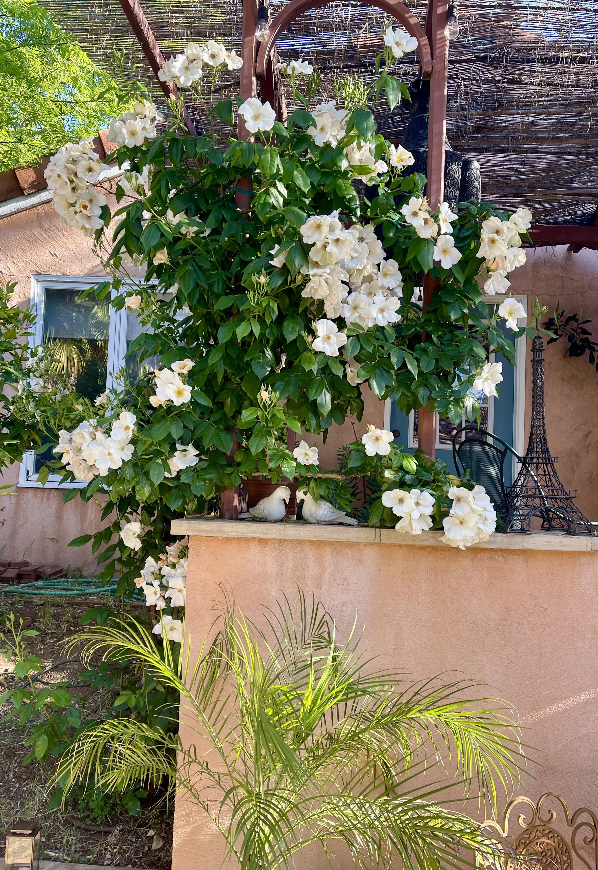 Rose Garden Design