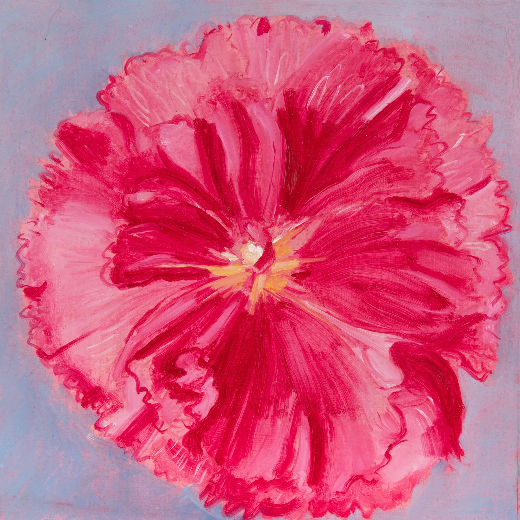 Large Hollyhock in Pink