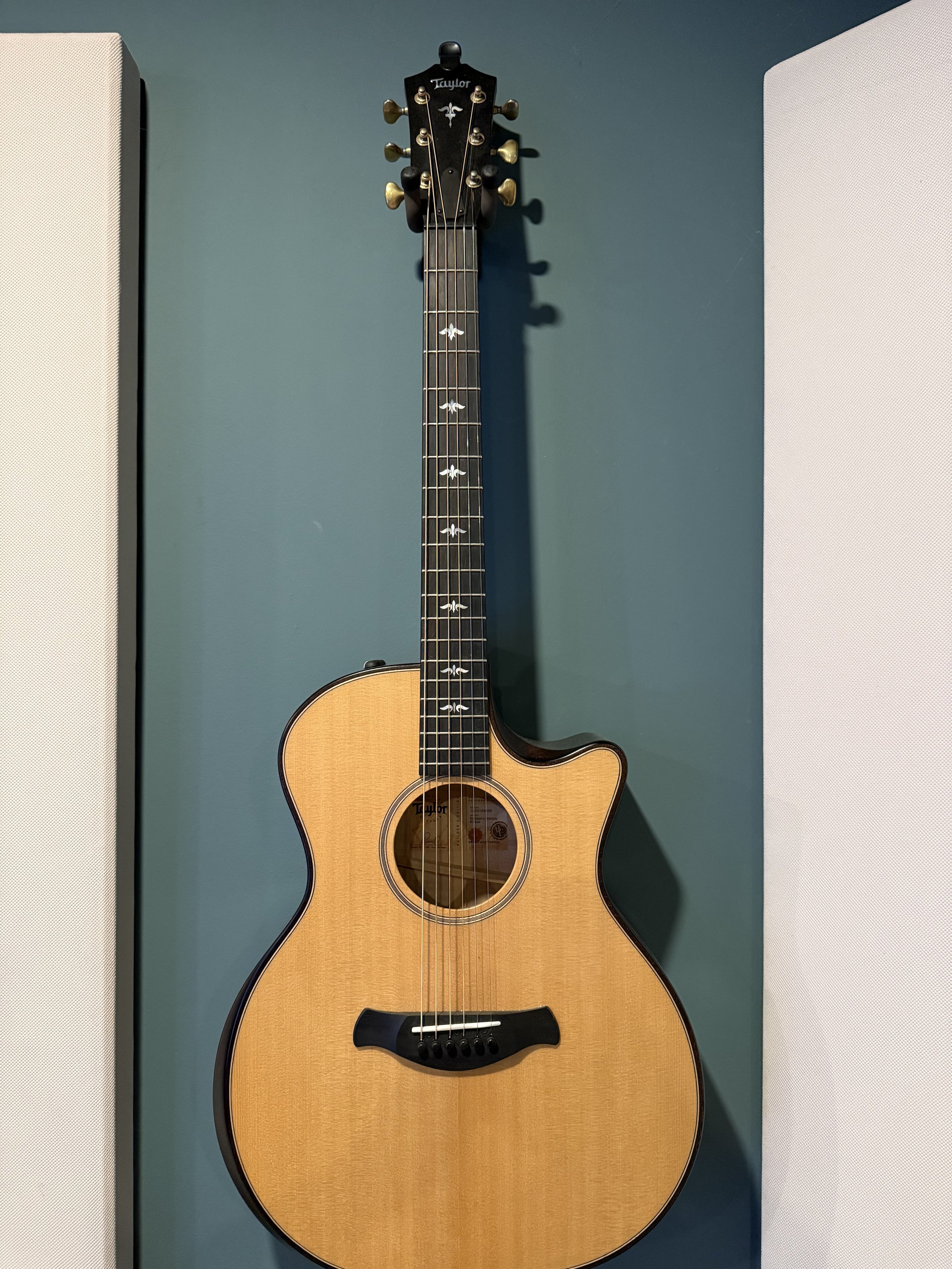 Taylor 614ce Builders Edition (Feb 16, 2024)