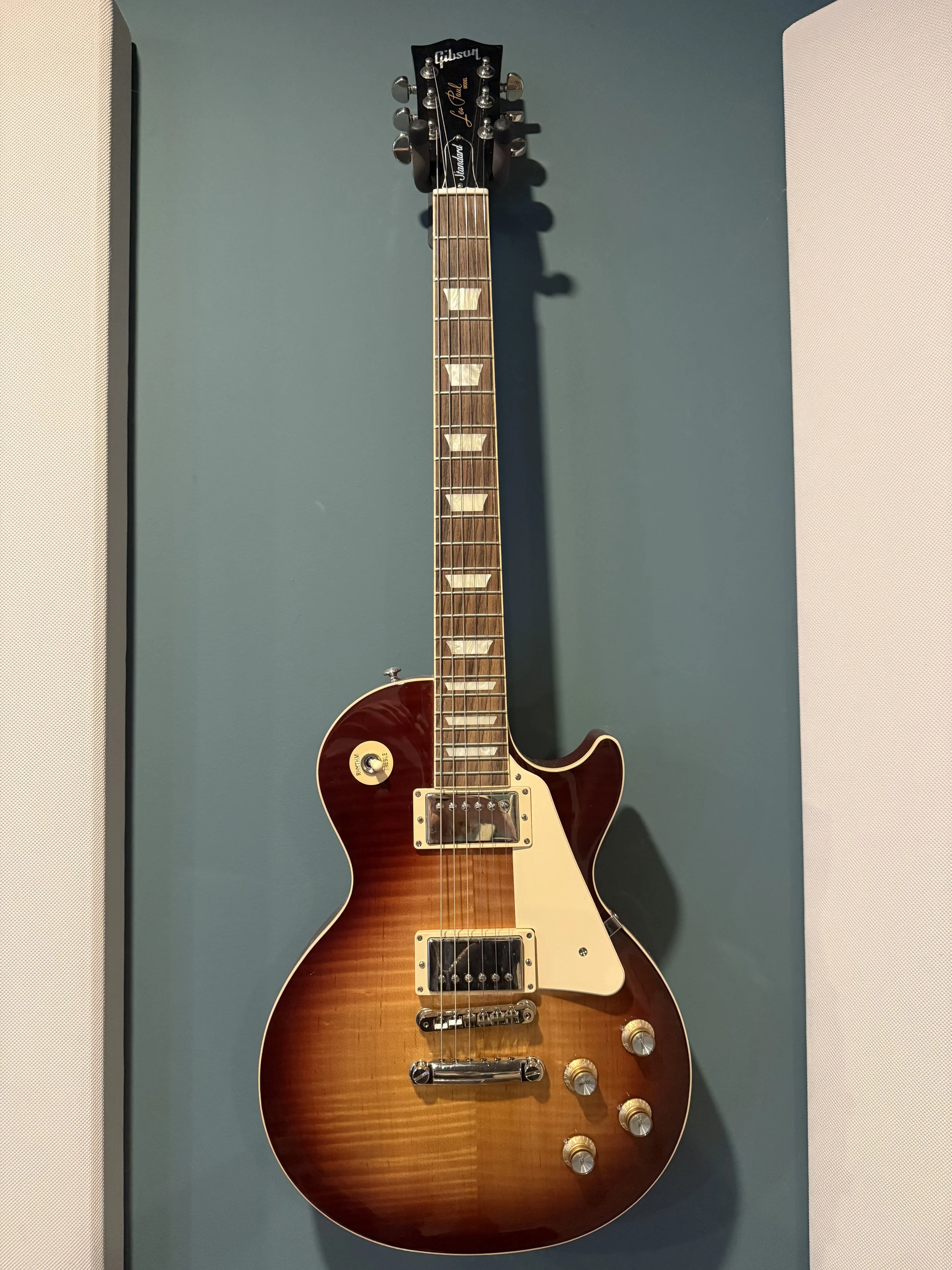 Gibson Les Paul Standard (Oct 8, 2002) 
