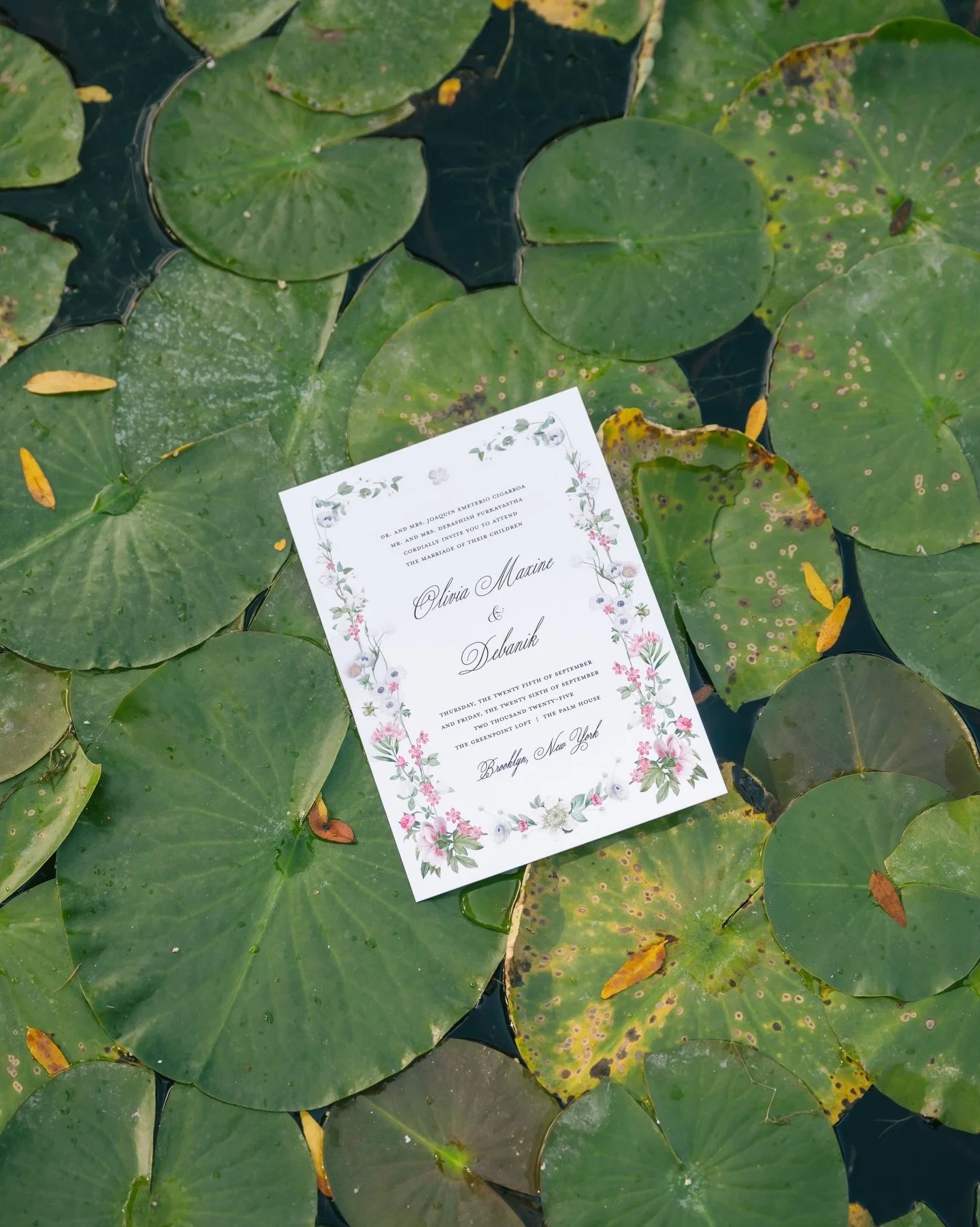 Botanical design for a botanic garden wedding 🪷

#weddinginvite #weddingsuite #weddingstationery #bespokeweddingstationery #weddingpaper 

Custom Wedding Invitation | Bespoke Wedding Suite | Wedding Day Paper | Botanical Invitation