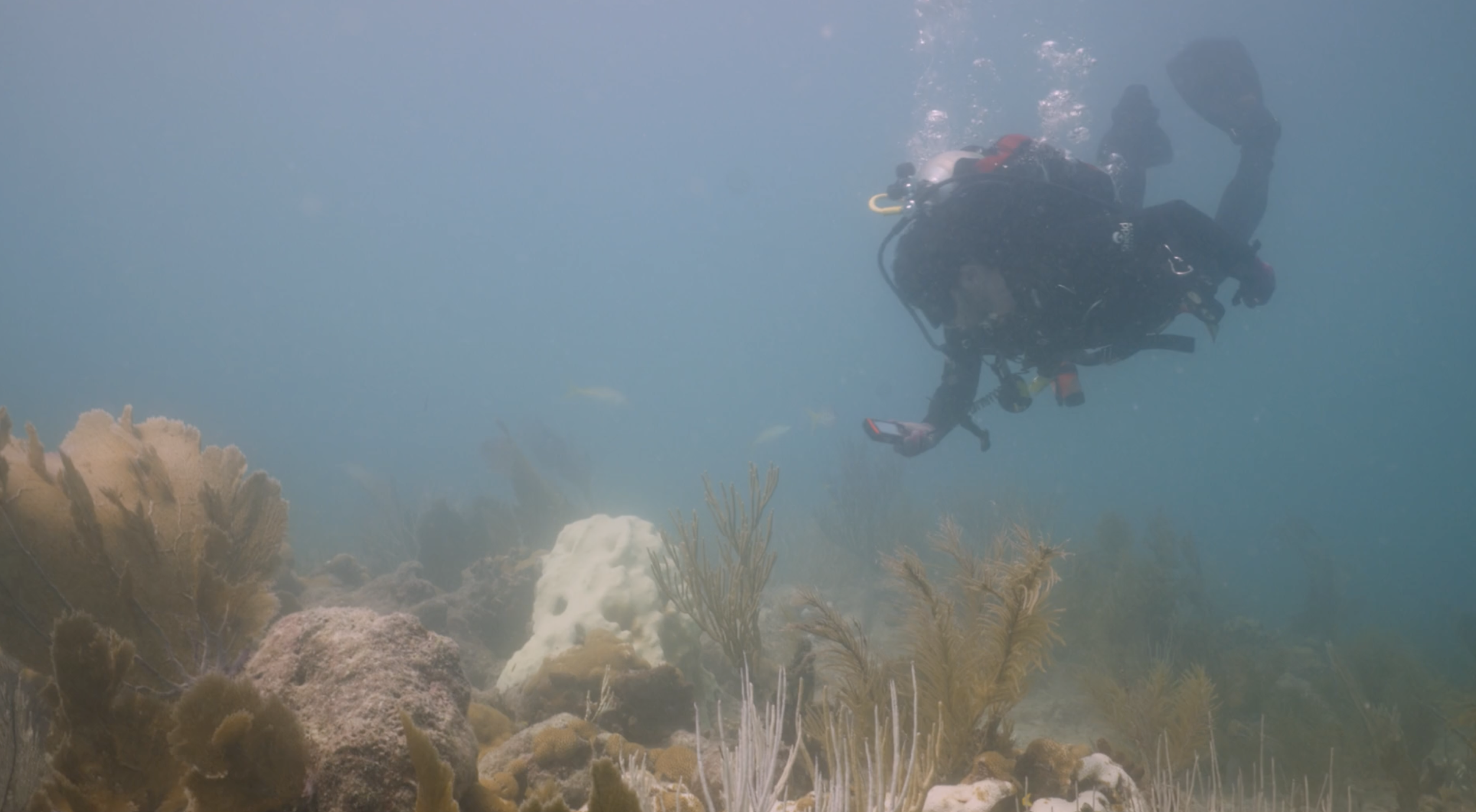 Tipping Point | Short Doc