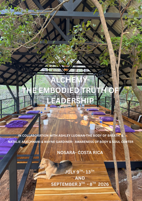 Alchemy- The embodied Truth of Leadership