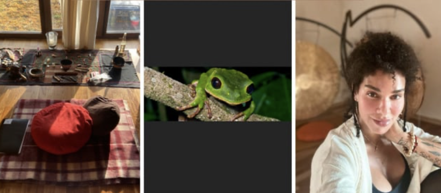 Three-panel collage featuring a meditation setup, a green frog, and a woman sitting indoors.