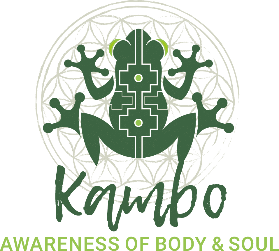 Illustration of a green frog with tribal patterns, set against a geometric floral background, with the words 'Kambo Awareness of Body & Soul'.