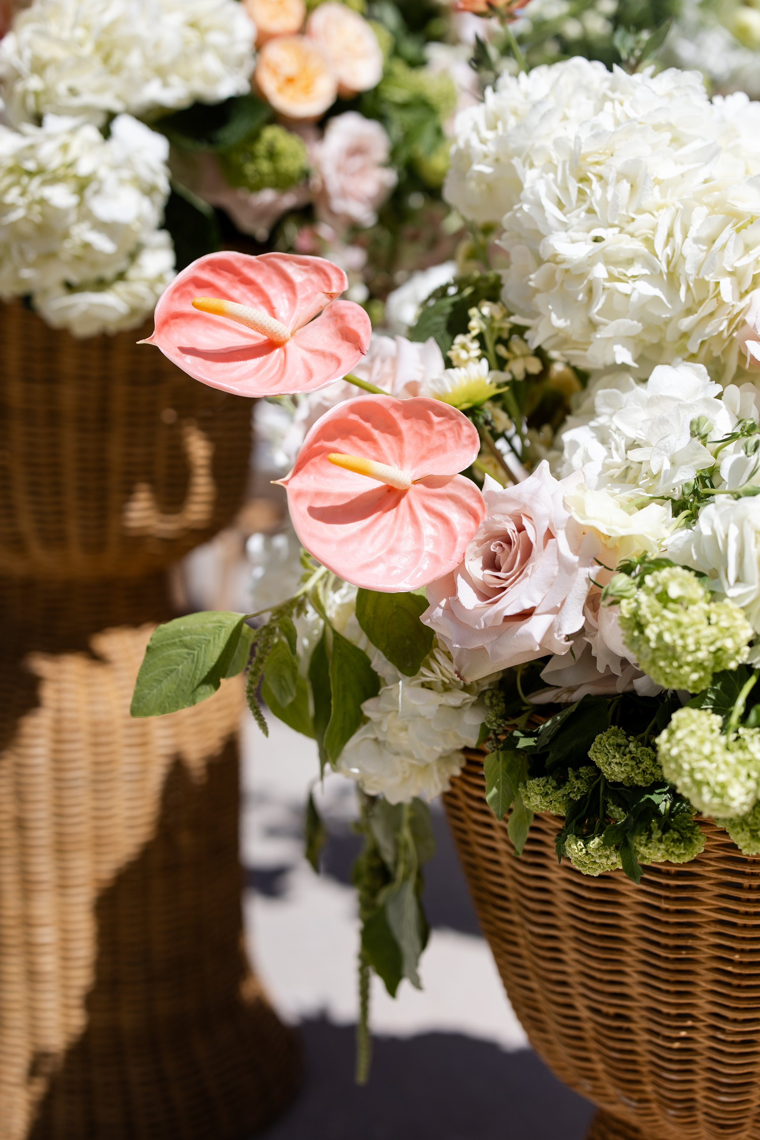 BullWedding-492.jpg